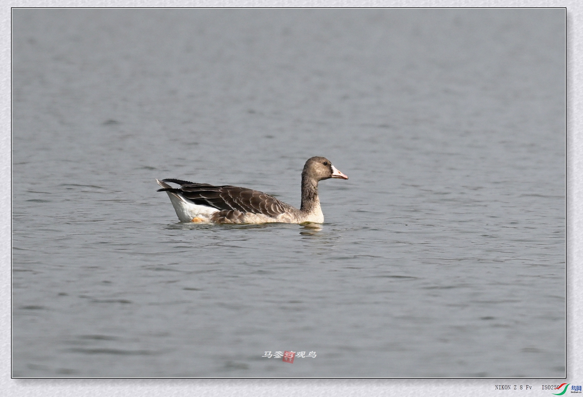 DSC_8084.JPG