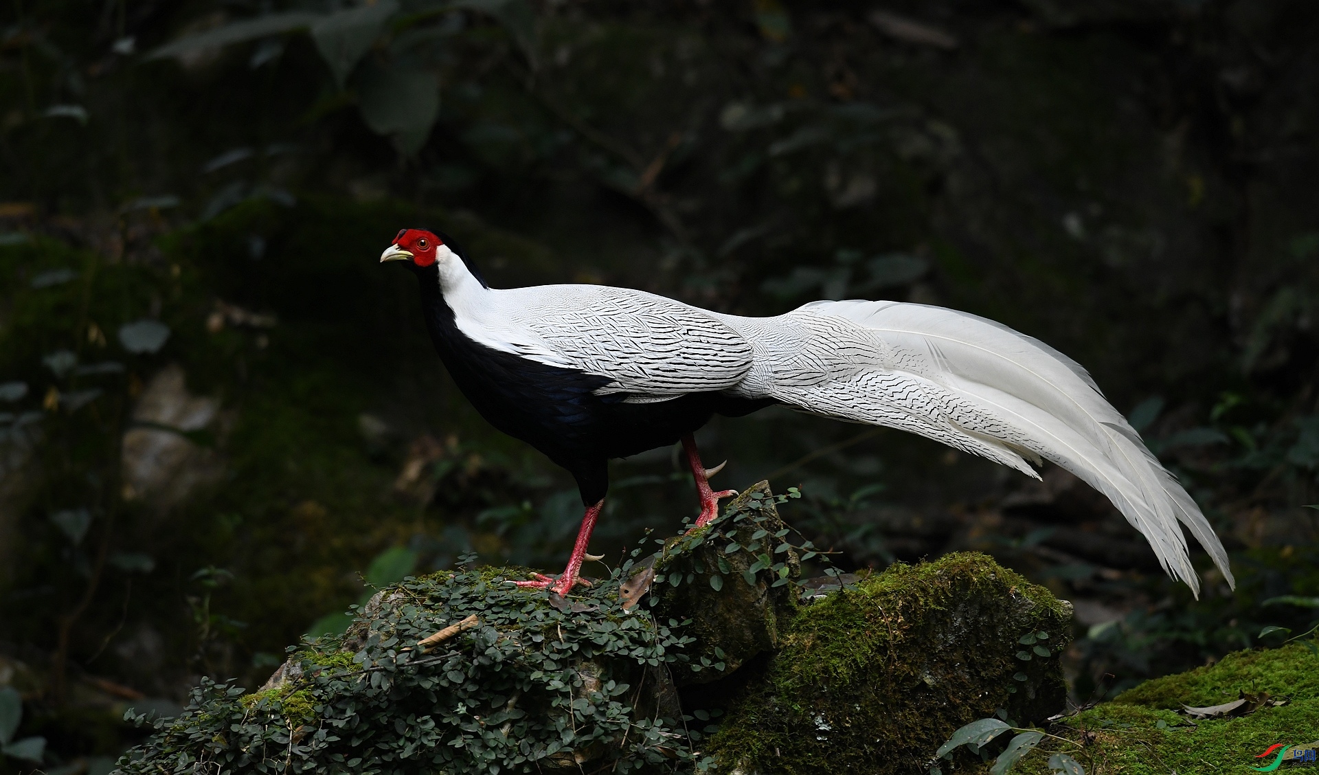 DSC_5931.jpg