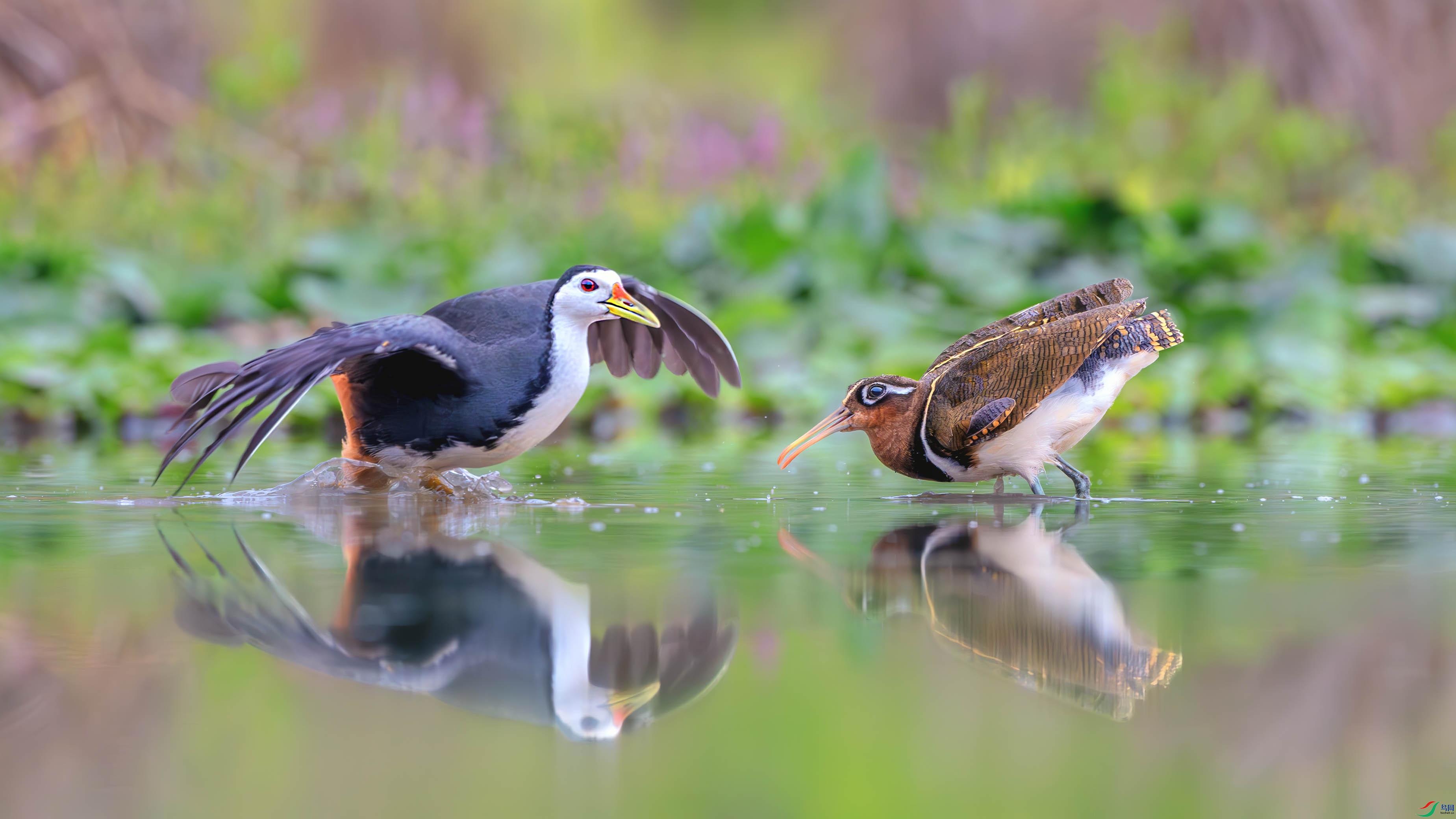 _DSC8283-����ǿ-NR ����1.jpg