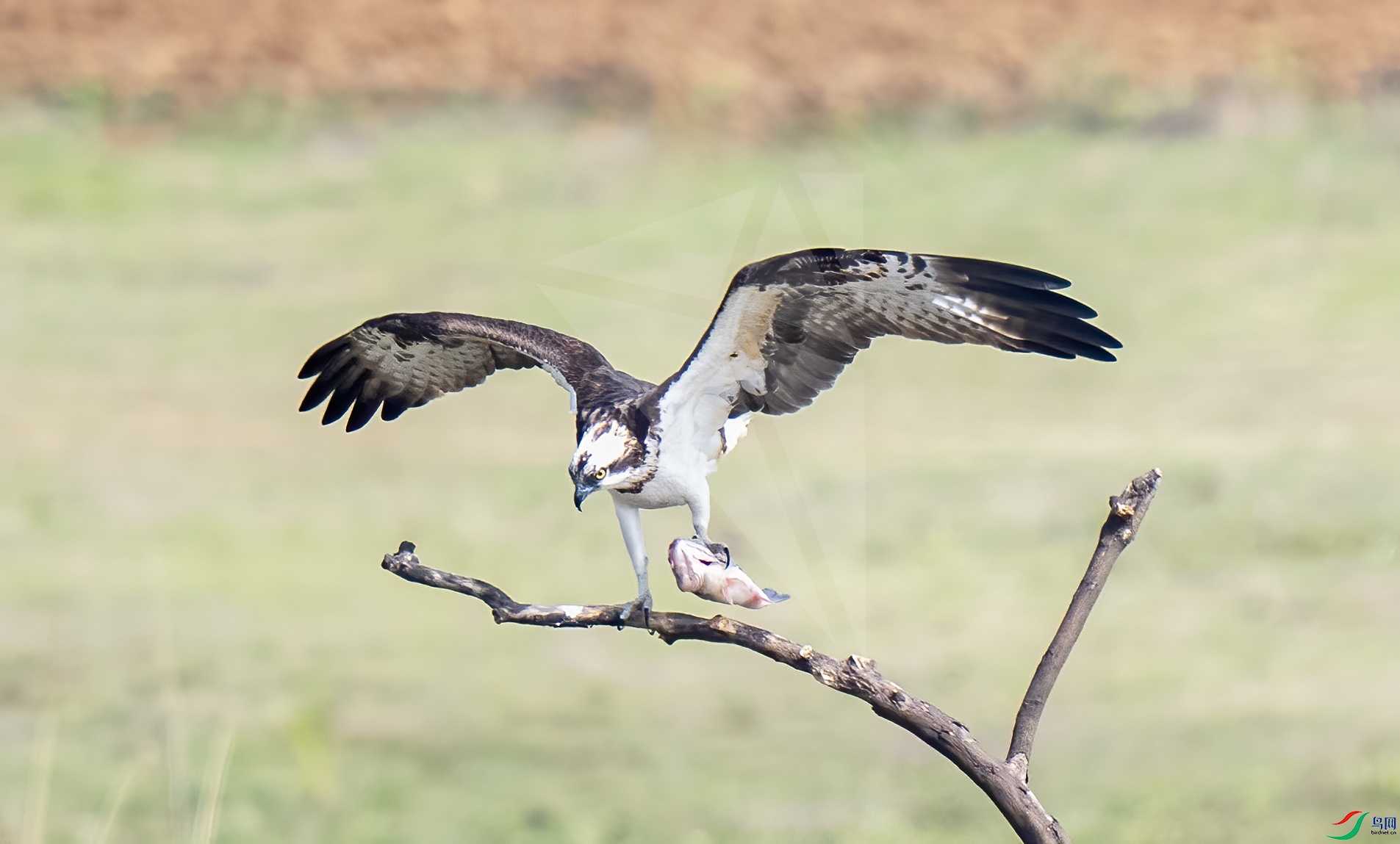 LJH_8809.jpg