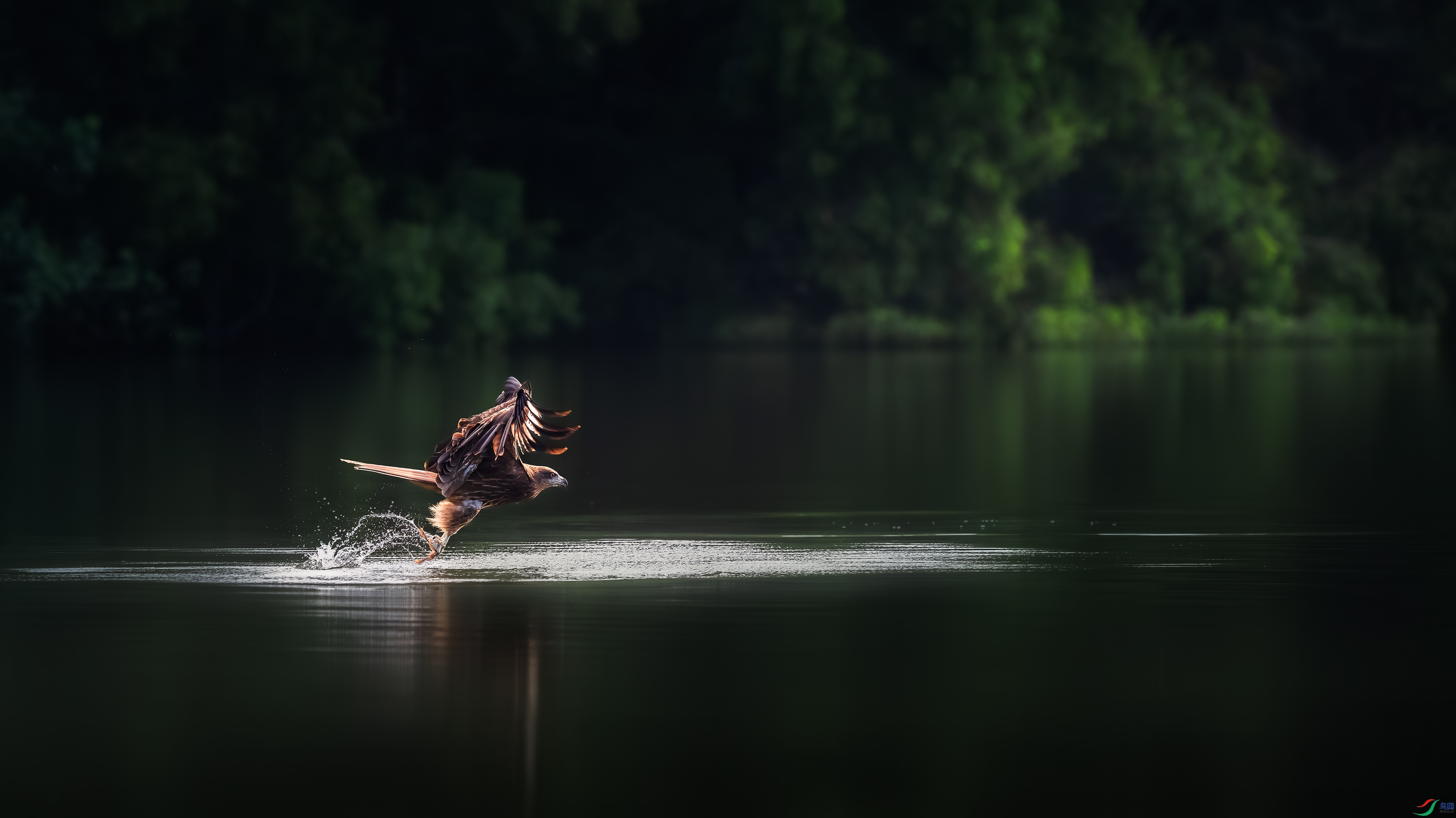 DSC_5137-����ǿ-NR ����.jpg