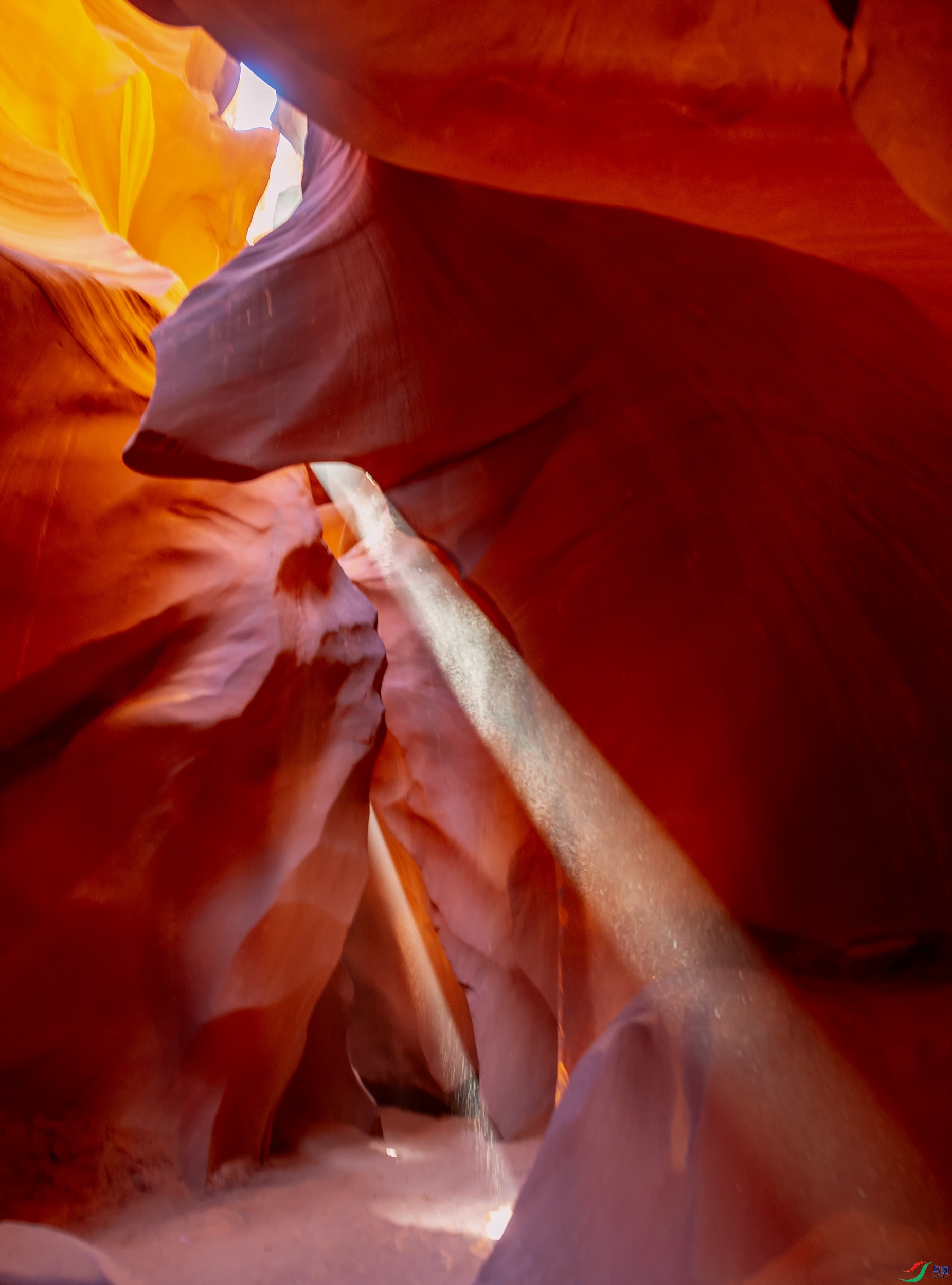 _DSC9366a.jpg