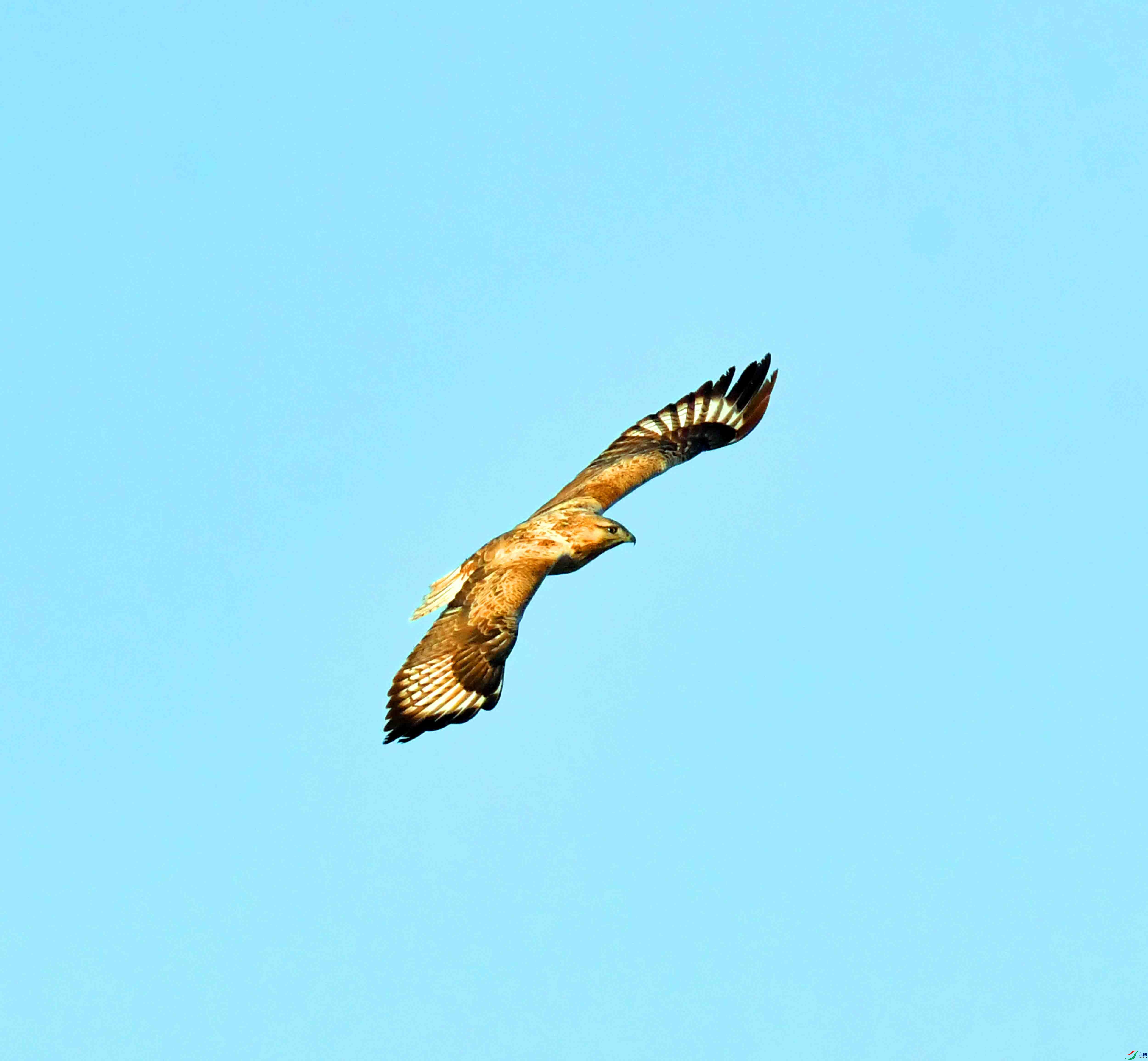 DSC_0348.JPG