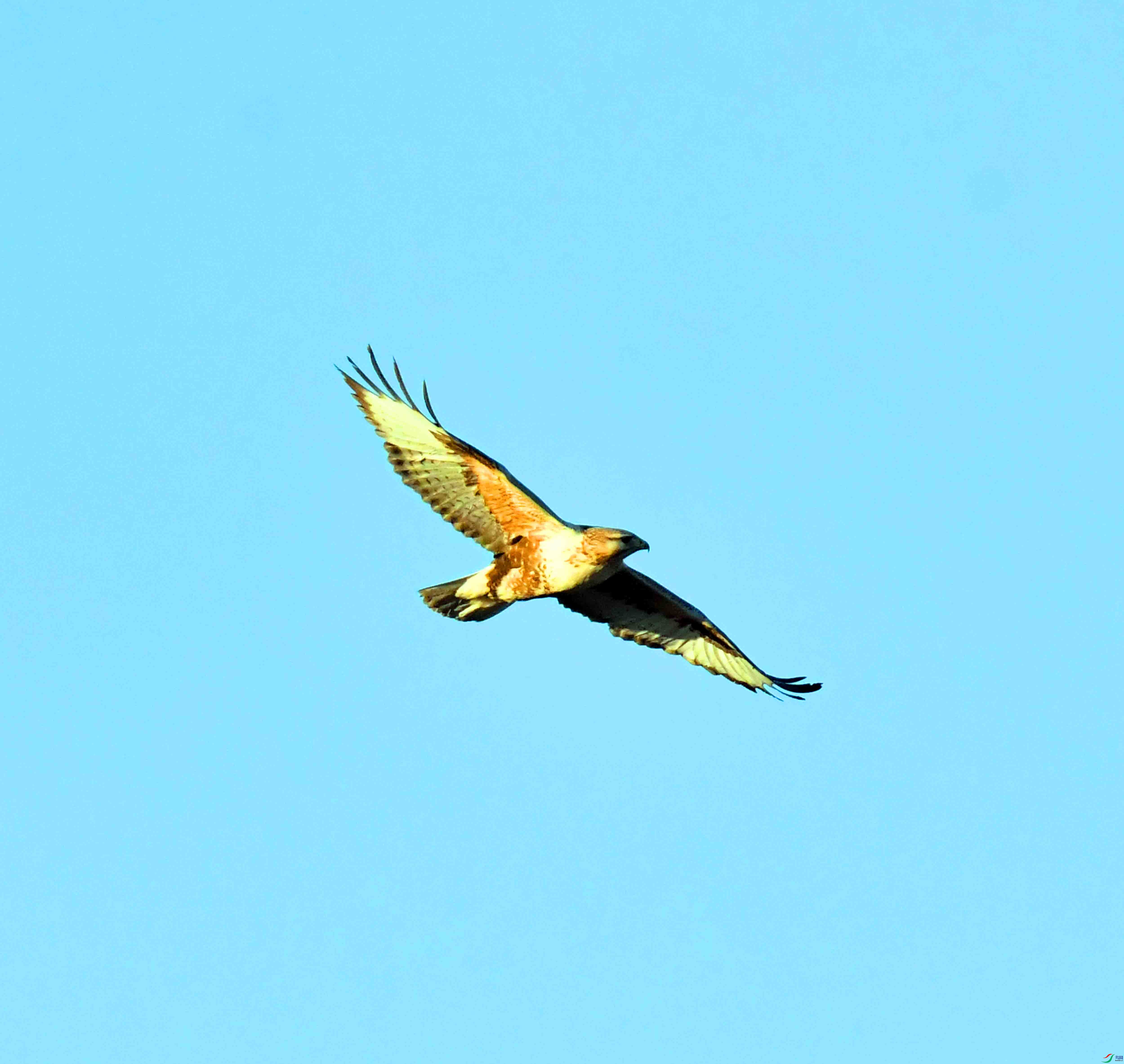 DSC_0383.JPG