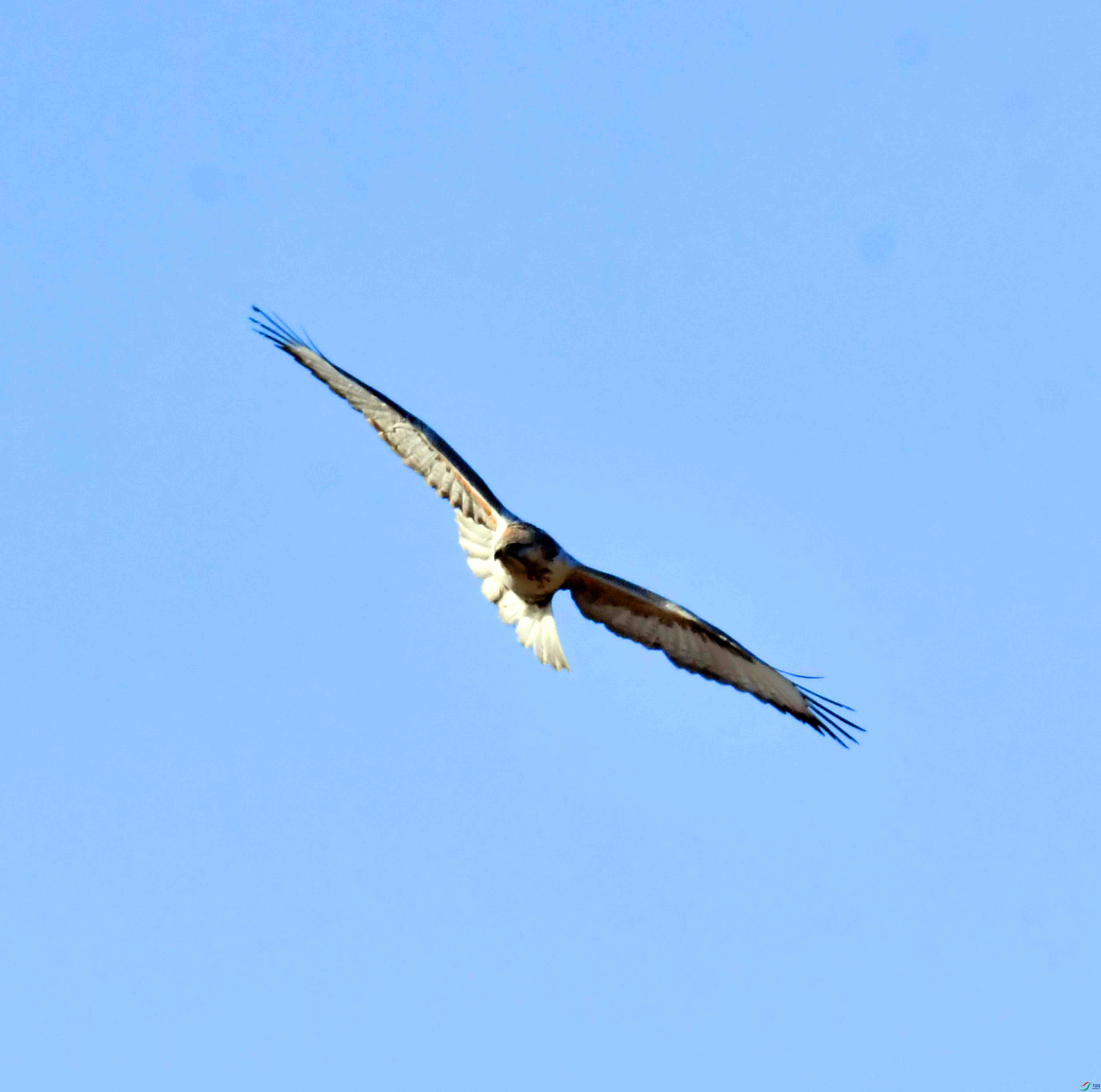 DSC_9512.JPG