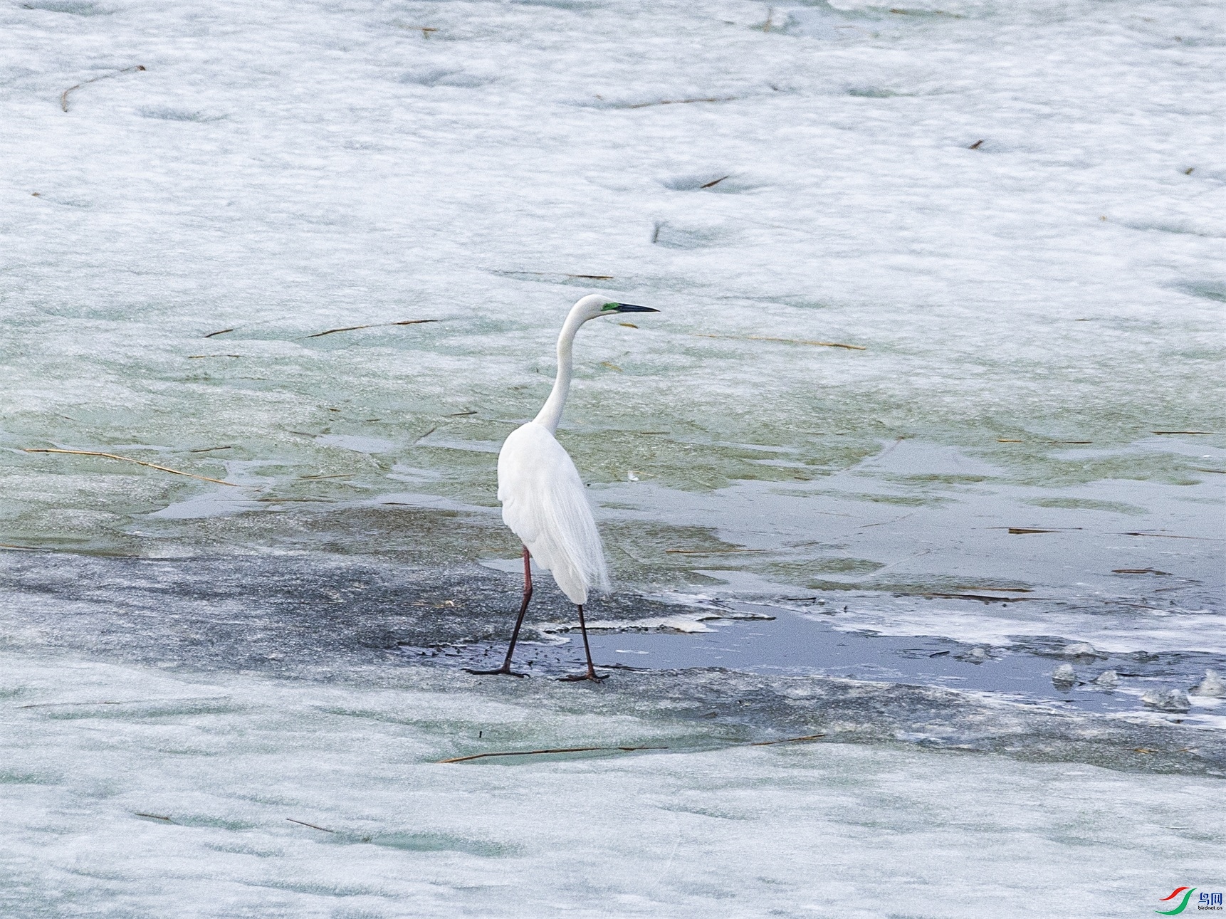 1K3A5986 ����1.jpg