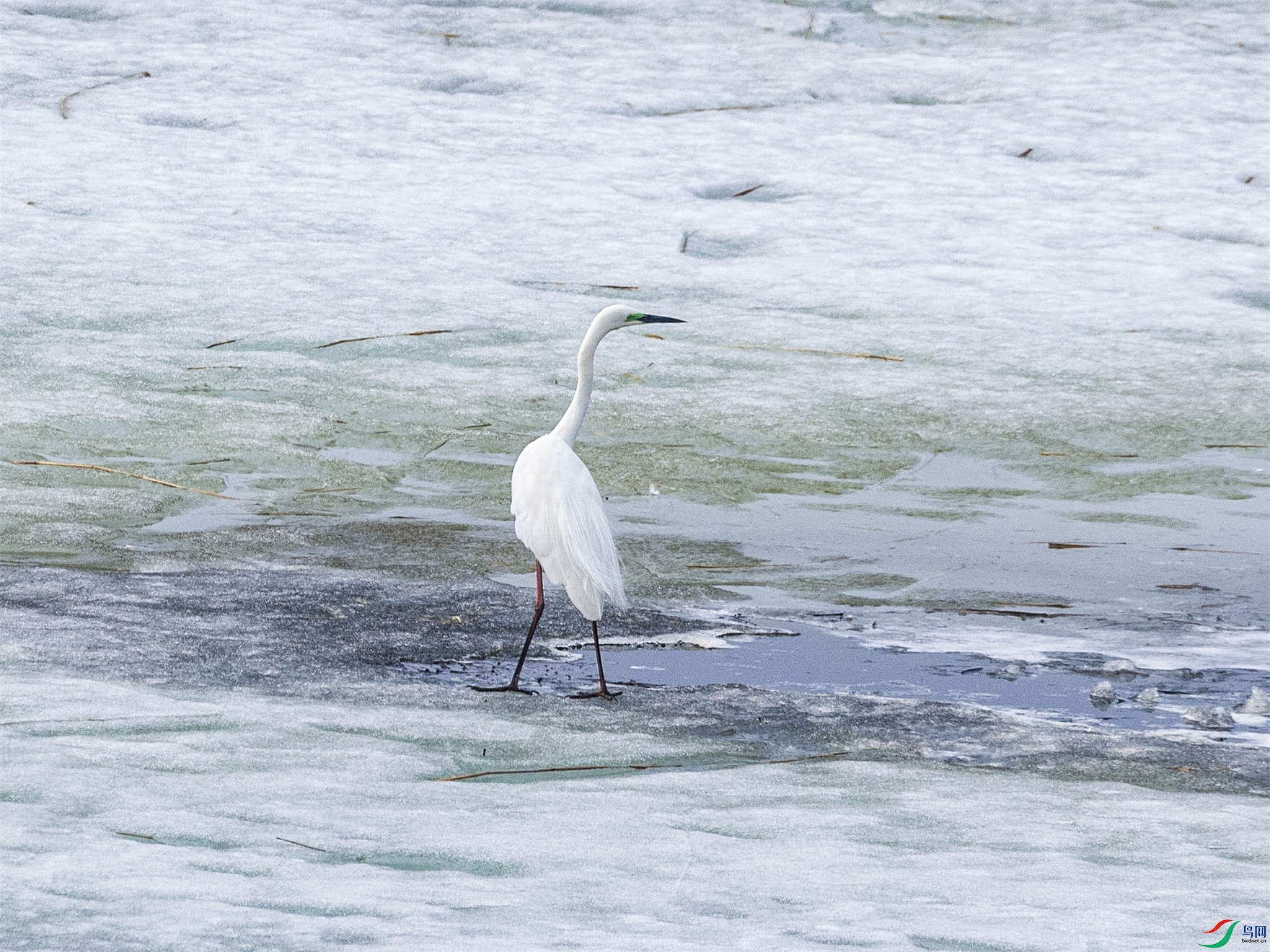 1K3A5988 ����1.jpg