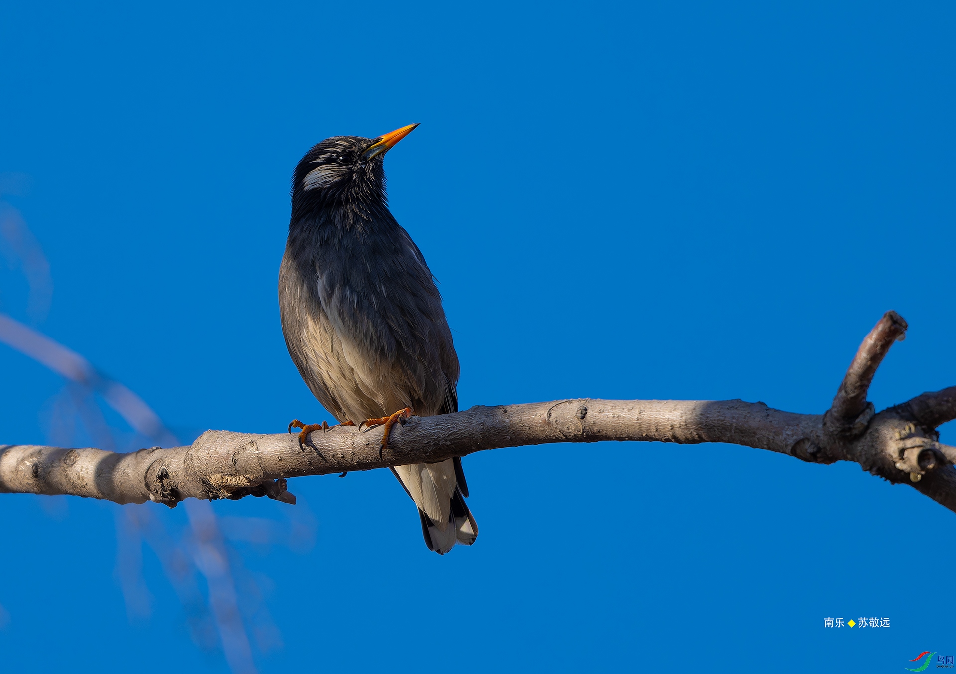 _DSC6885-NEF_DxO_С.jpg