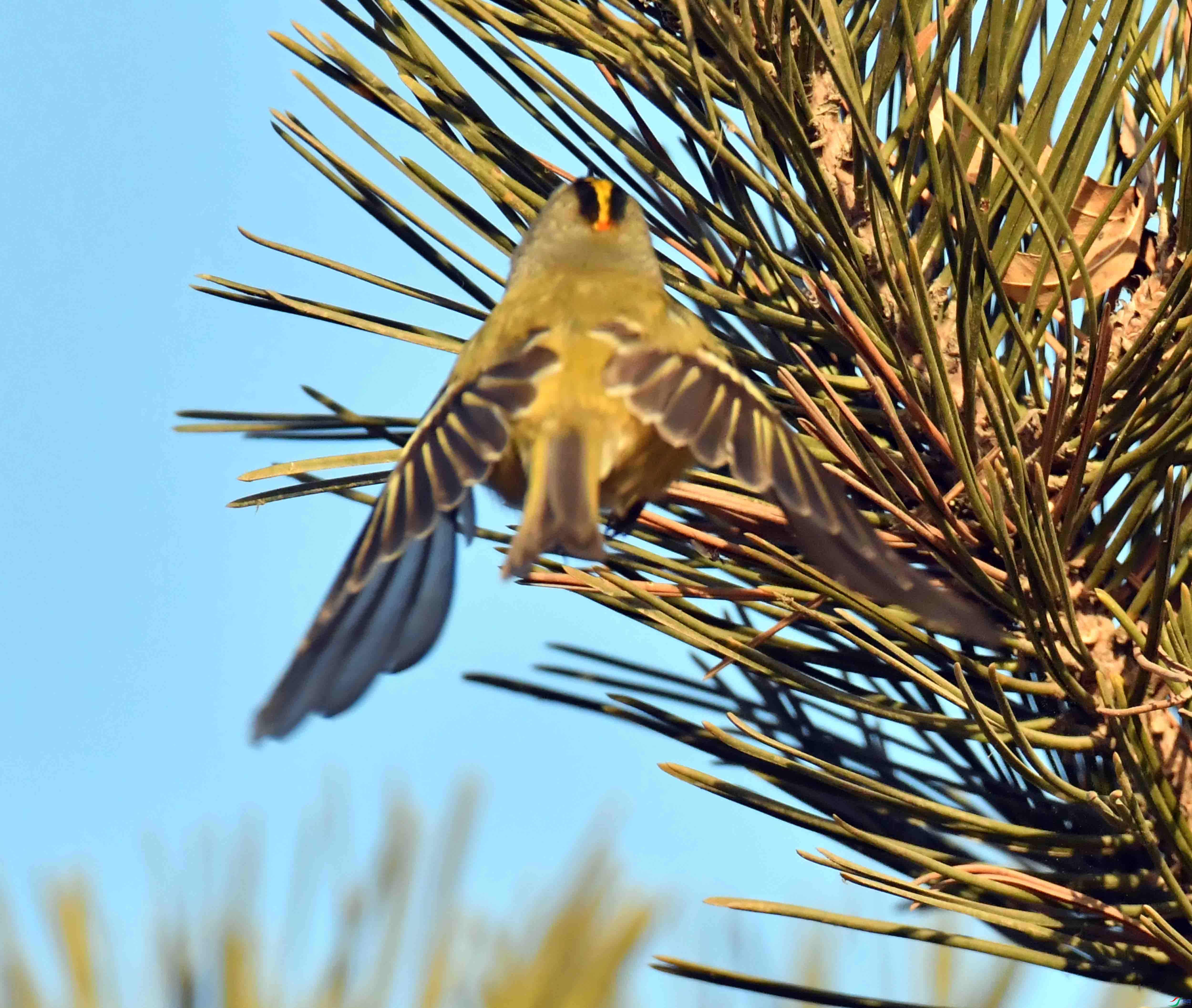 DSC_1538.JPG