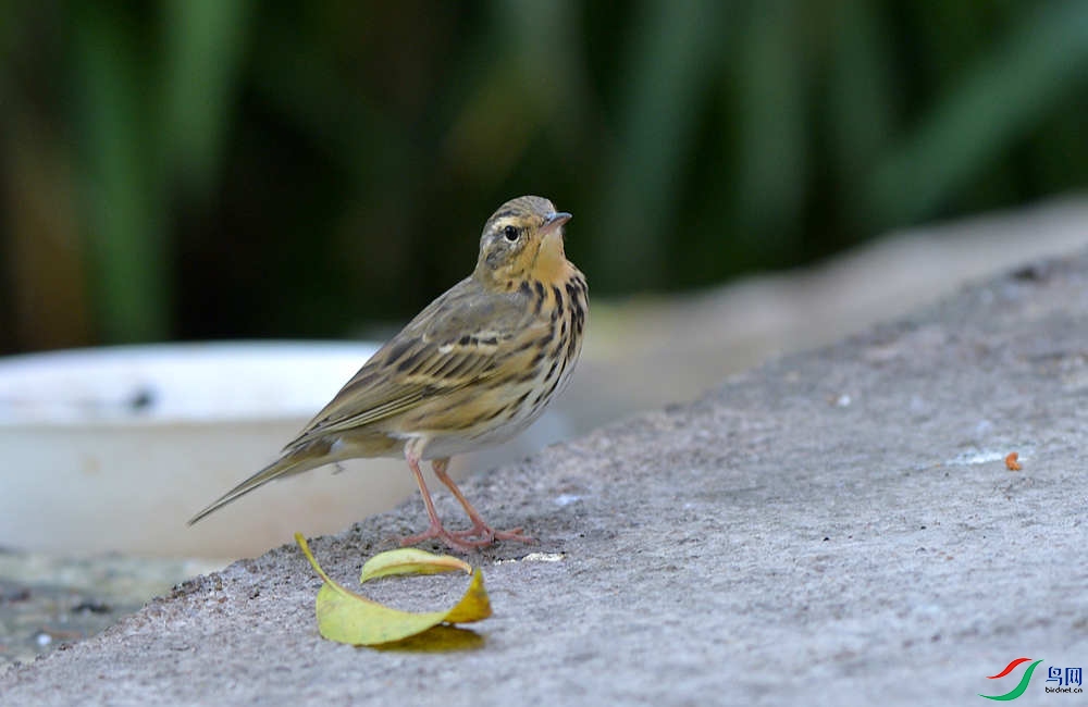 DSC_4508.JPG