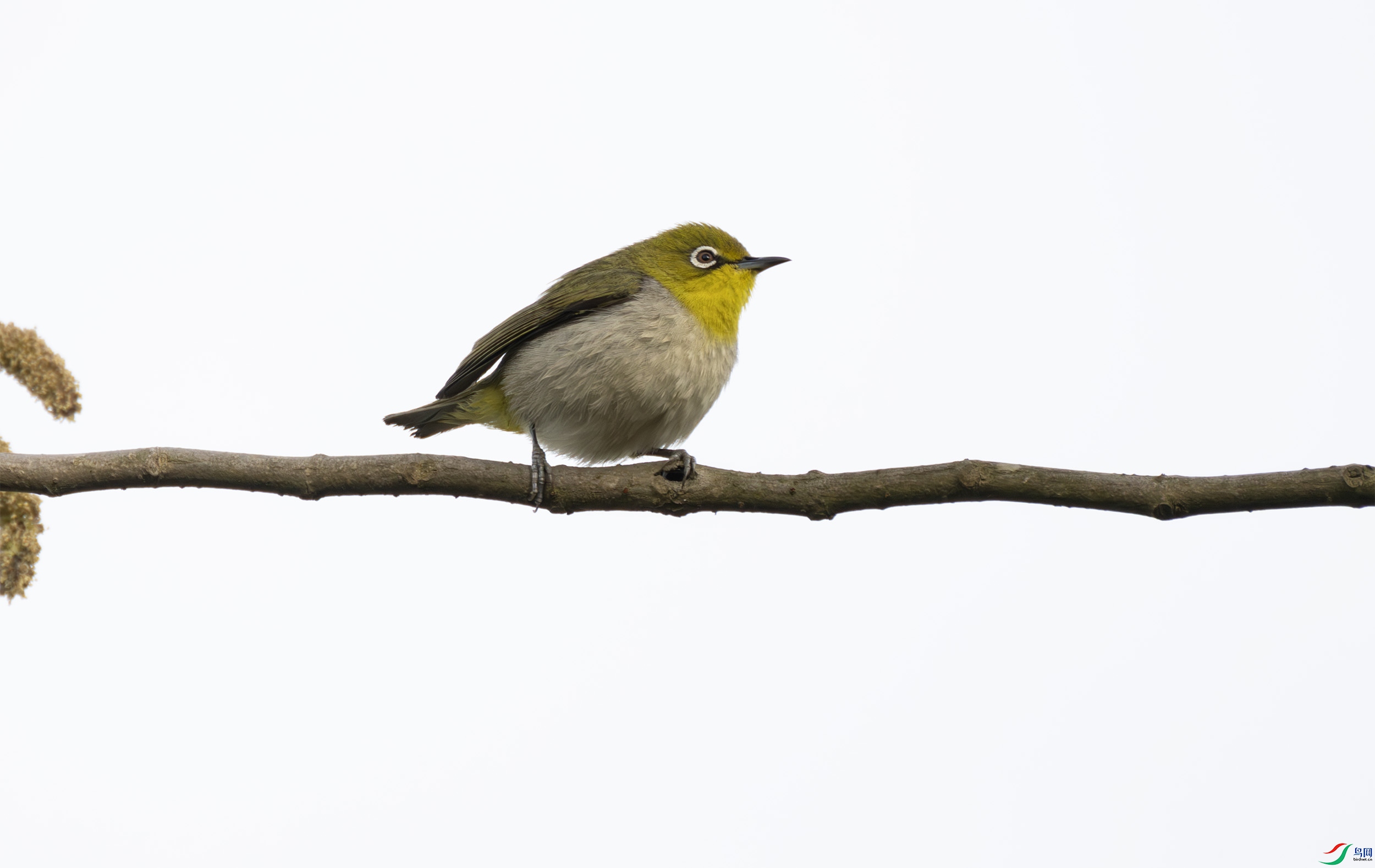 2I1A1671-����ǿ-NR ����.jpg