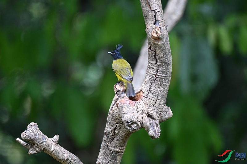 DSC_7638.JPG