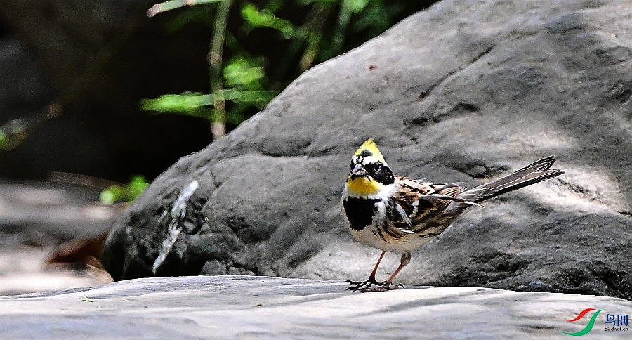 DSC_5373.JPG