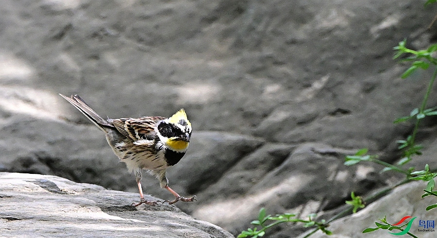 DSC_5385.JPG