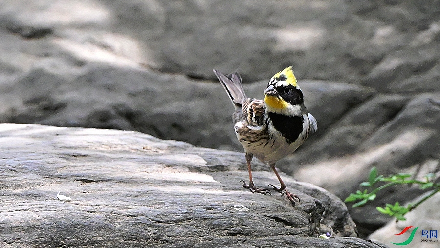 DSC_5388.JPG