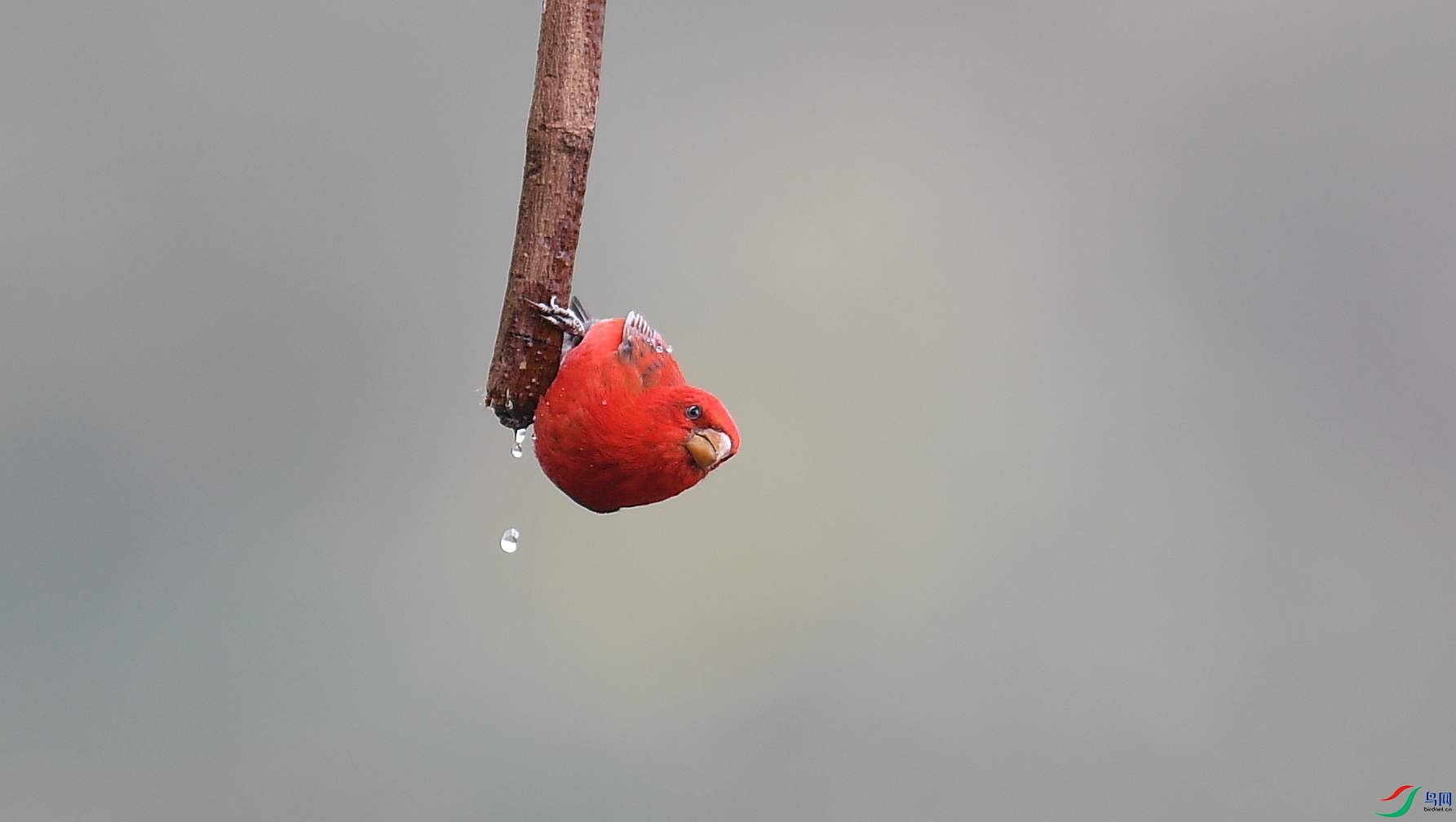 DSC_7610_����.jpg