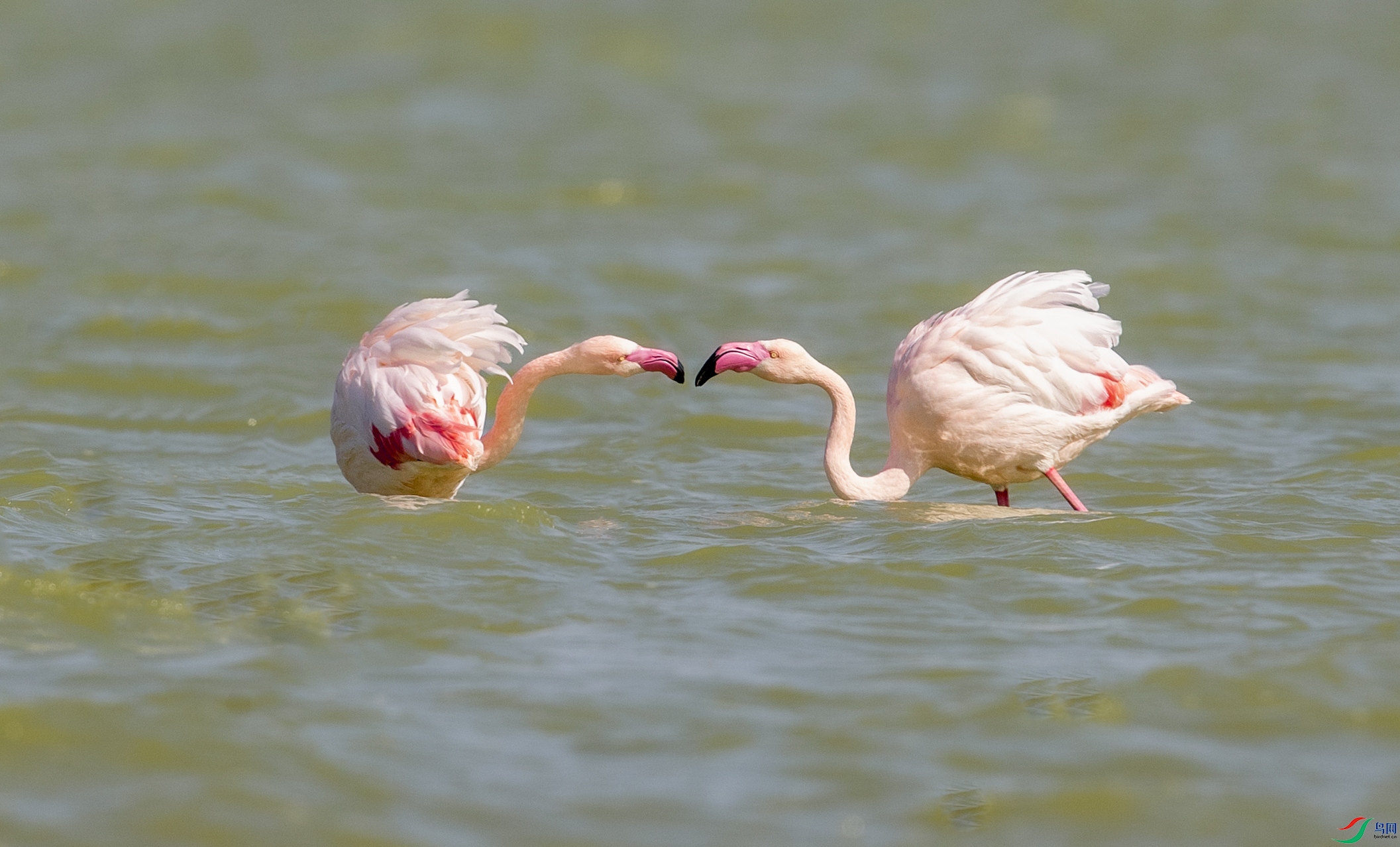 _U4I1183 ����.jpg