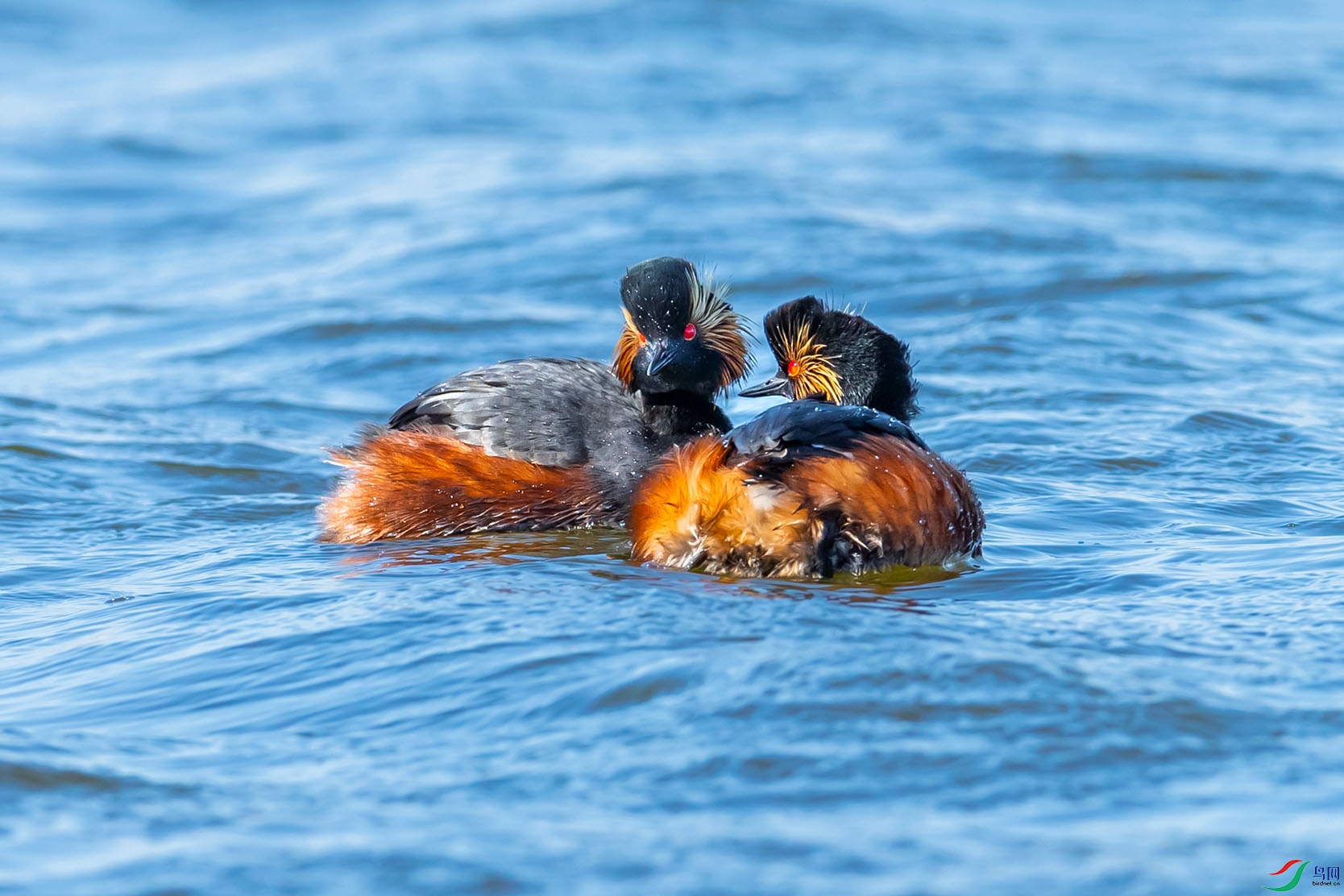 BP2I3361 ����.jpg