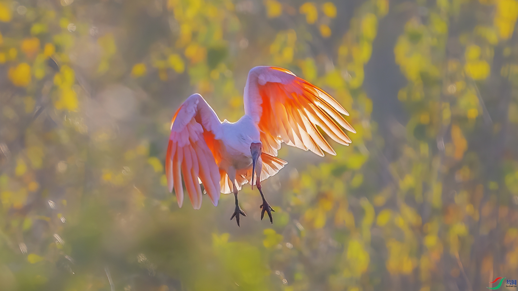 AE1V3899 ����.jpg