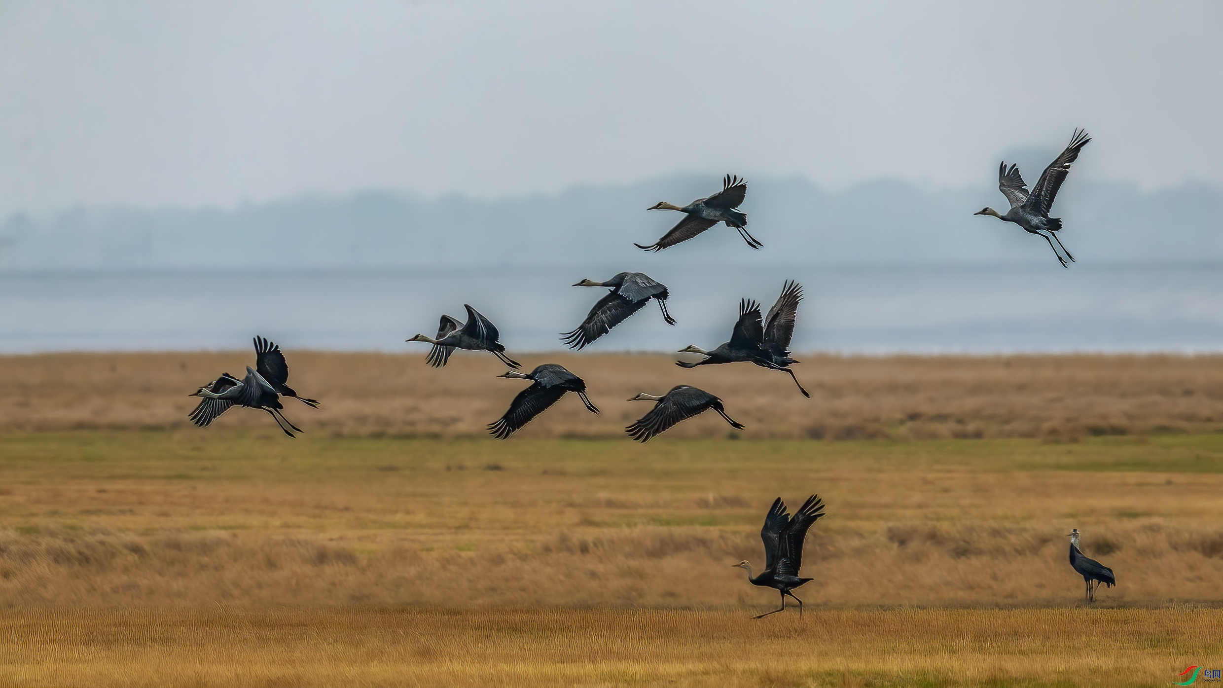 AE1V2443 ����1.jpg