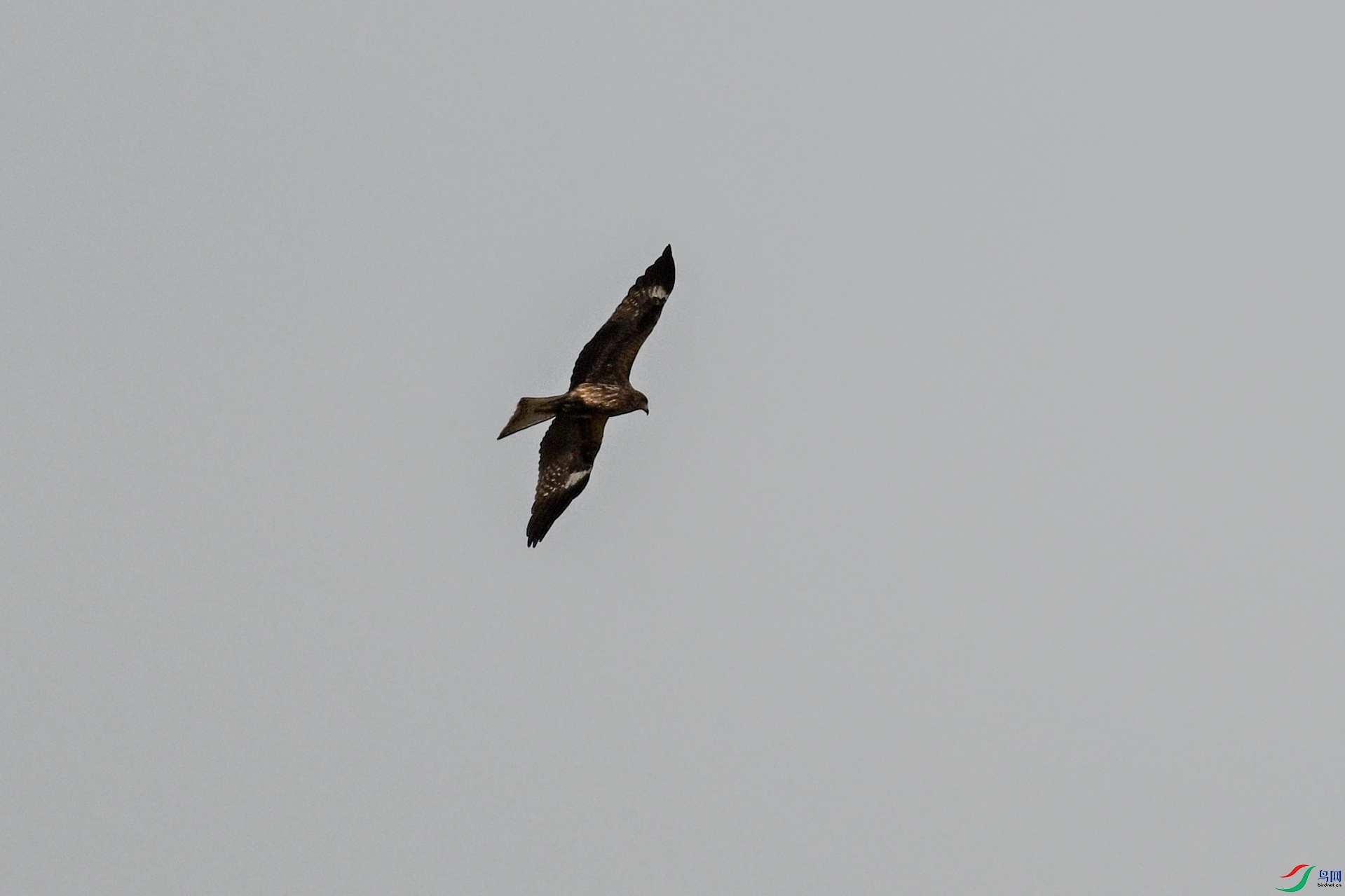 DSC_8140.JPG