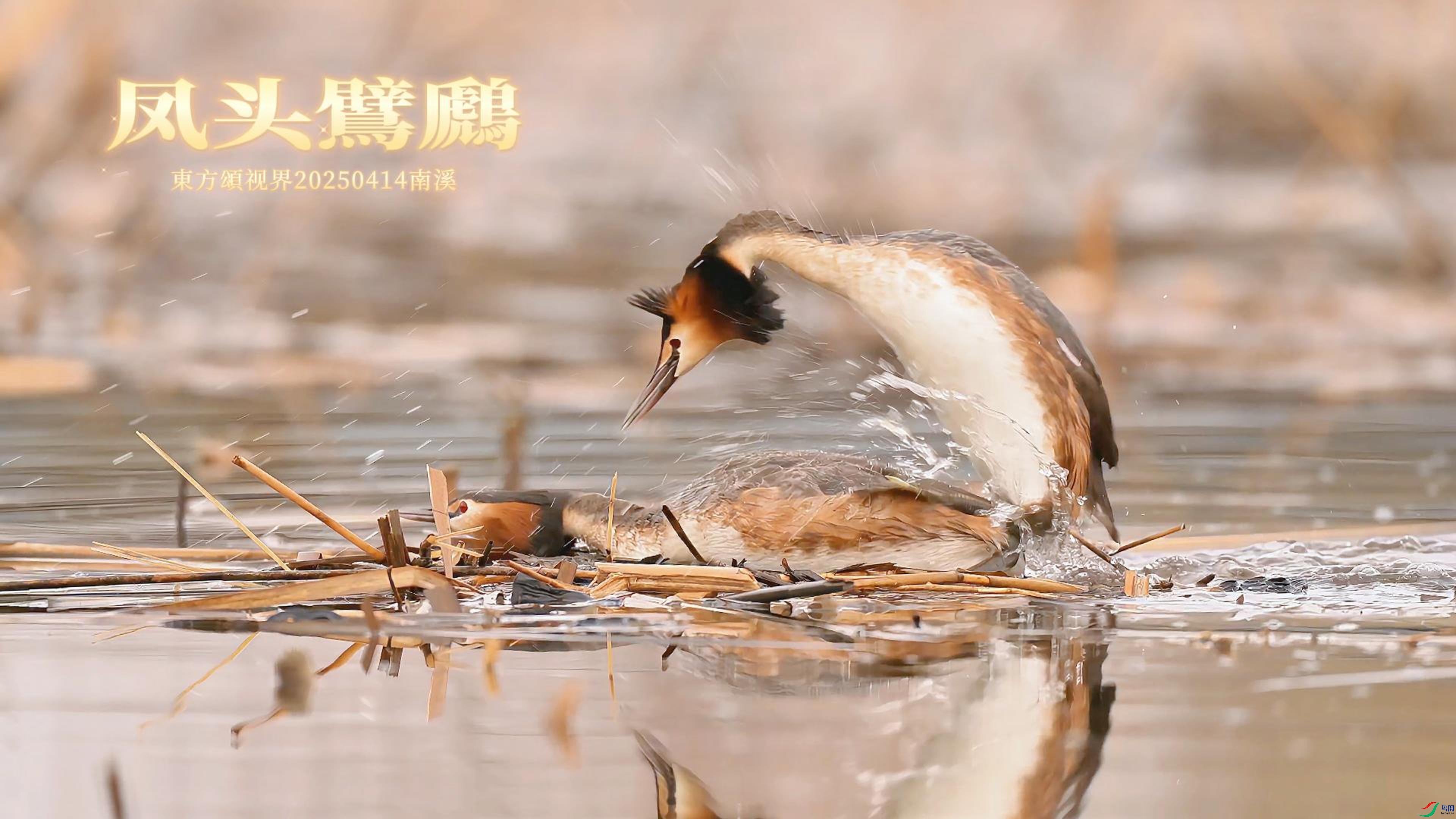 4��14�� ��ͷ���f-����.jpg