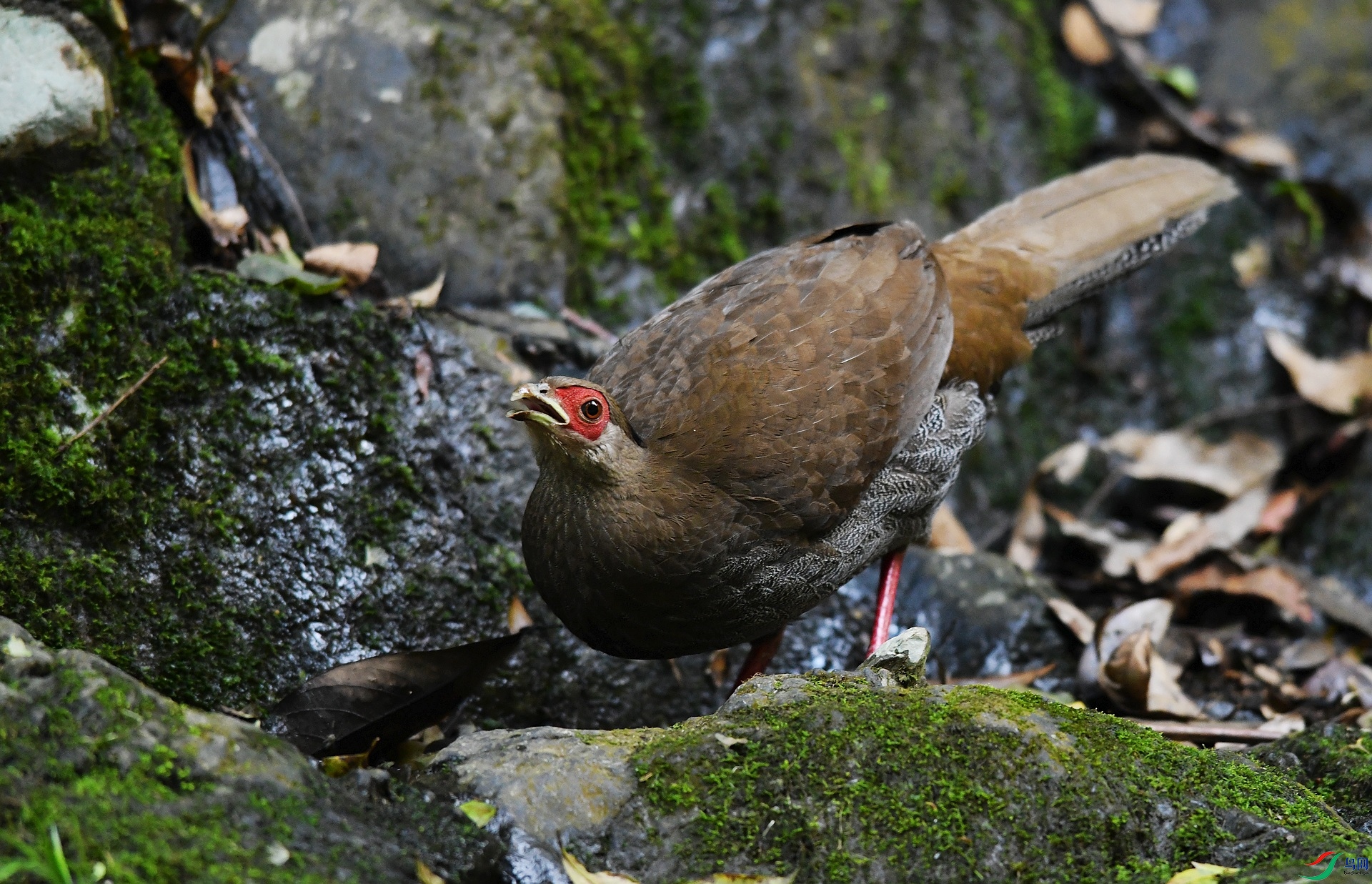 DSC_3499.jpg