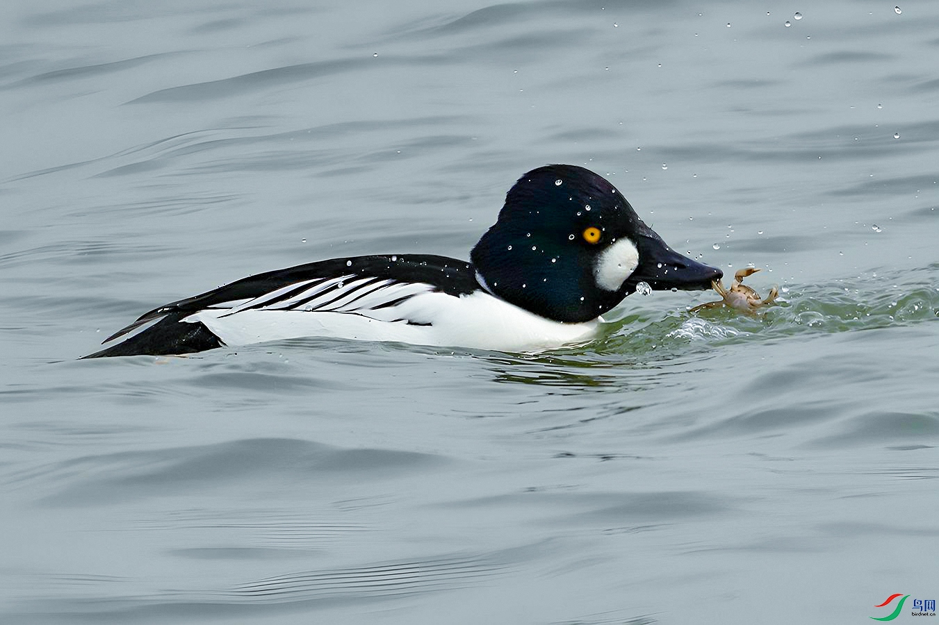 DSC_9184=.jpg