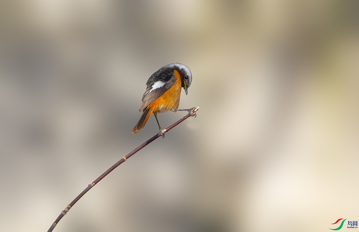 20190414 (219).jpg