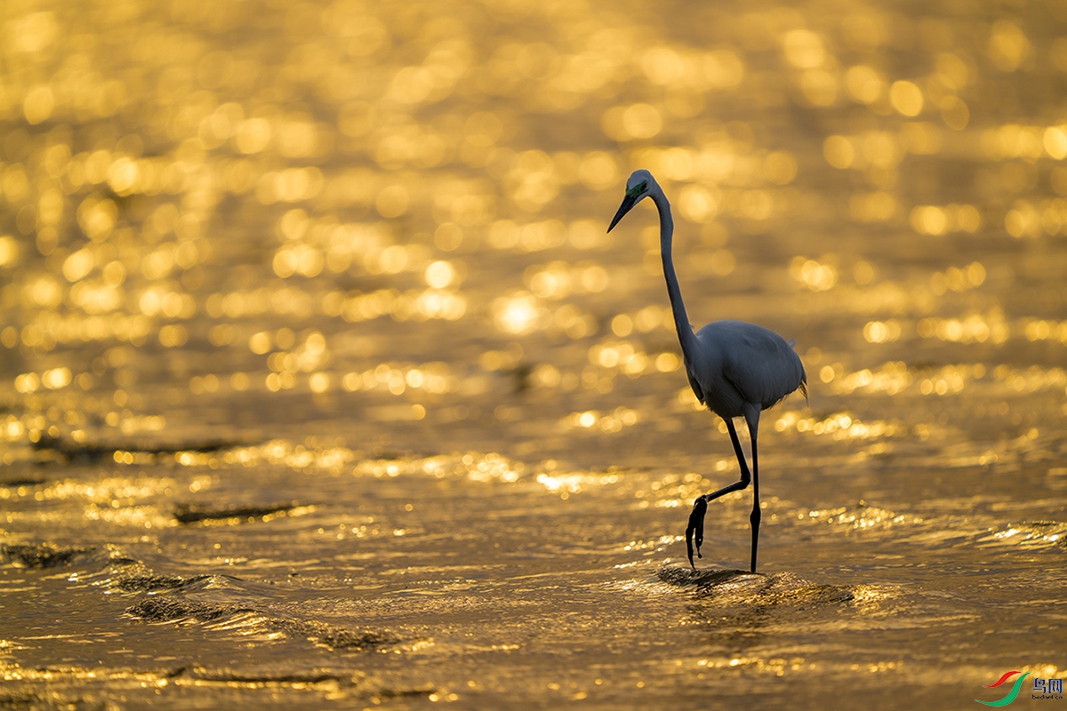 DSC_9436 ����__ ����.jpg