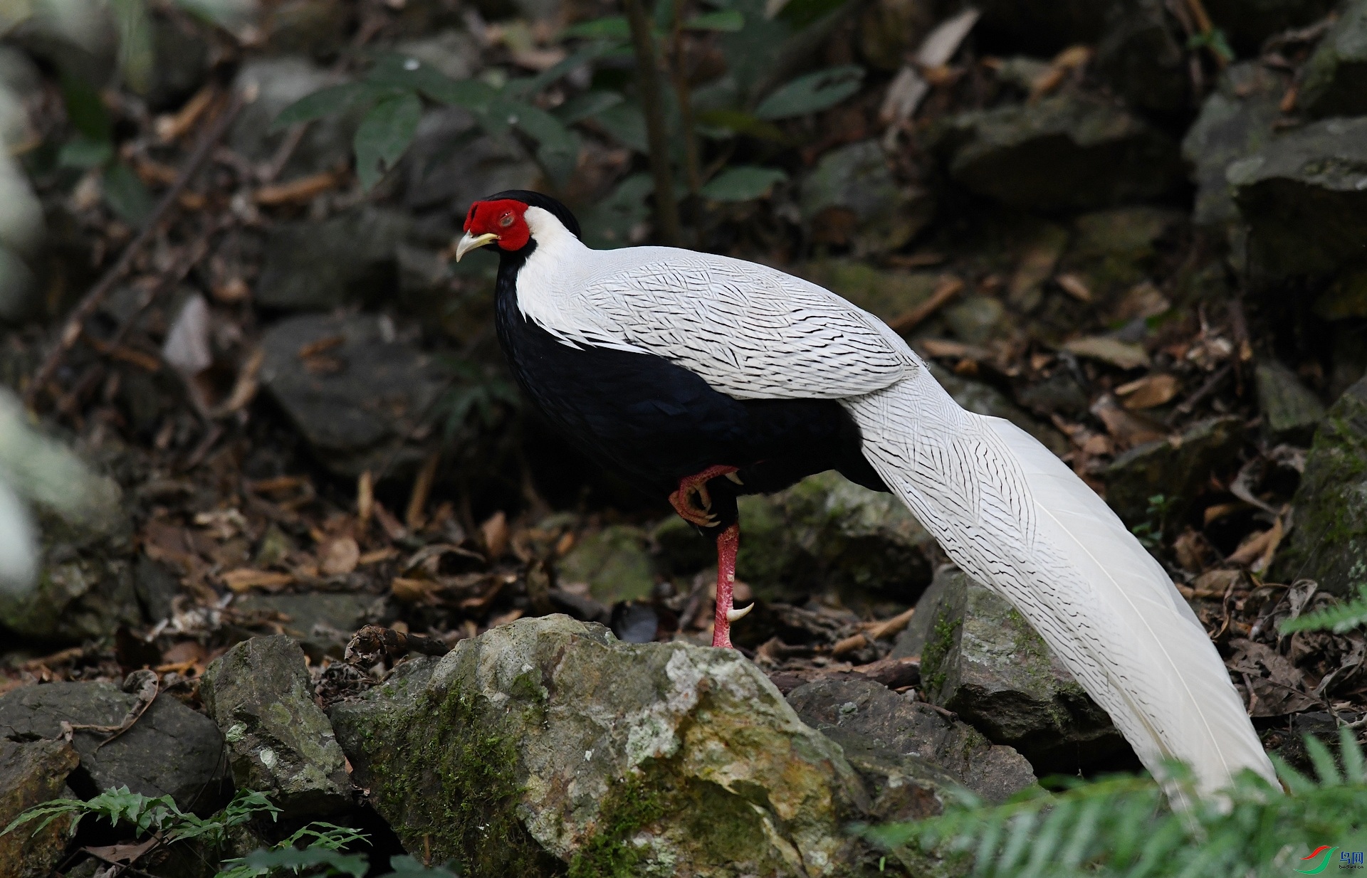 DSC_6508.jpg