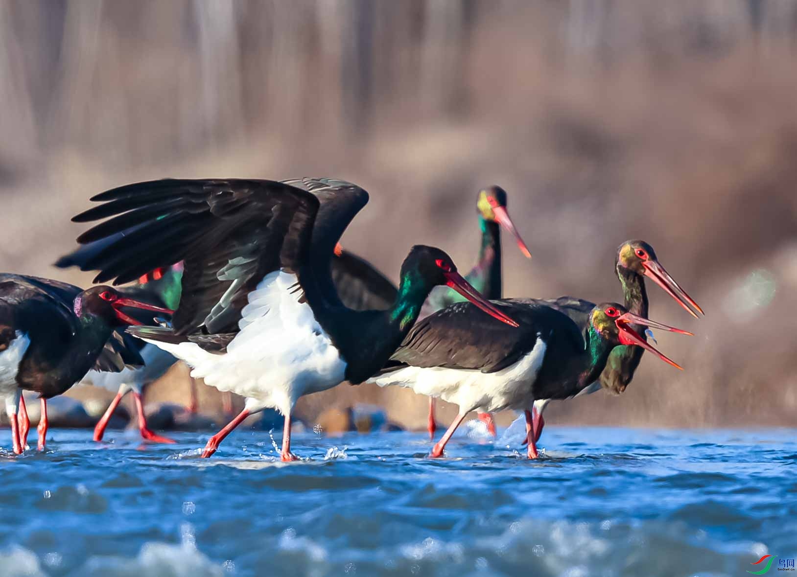 �������� �ȴ�ʱ����.JPG