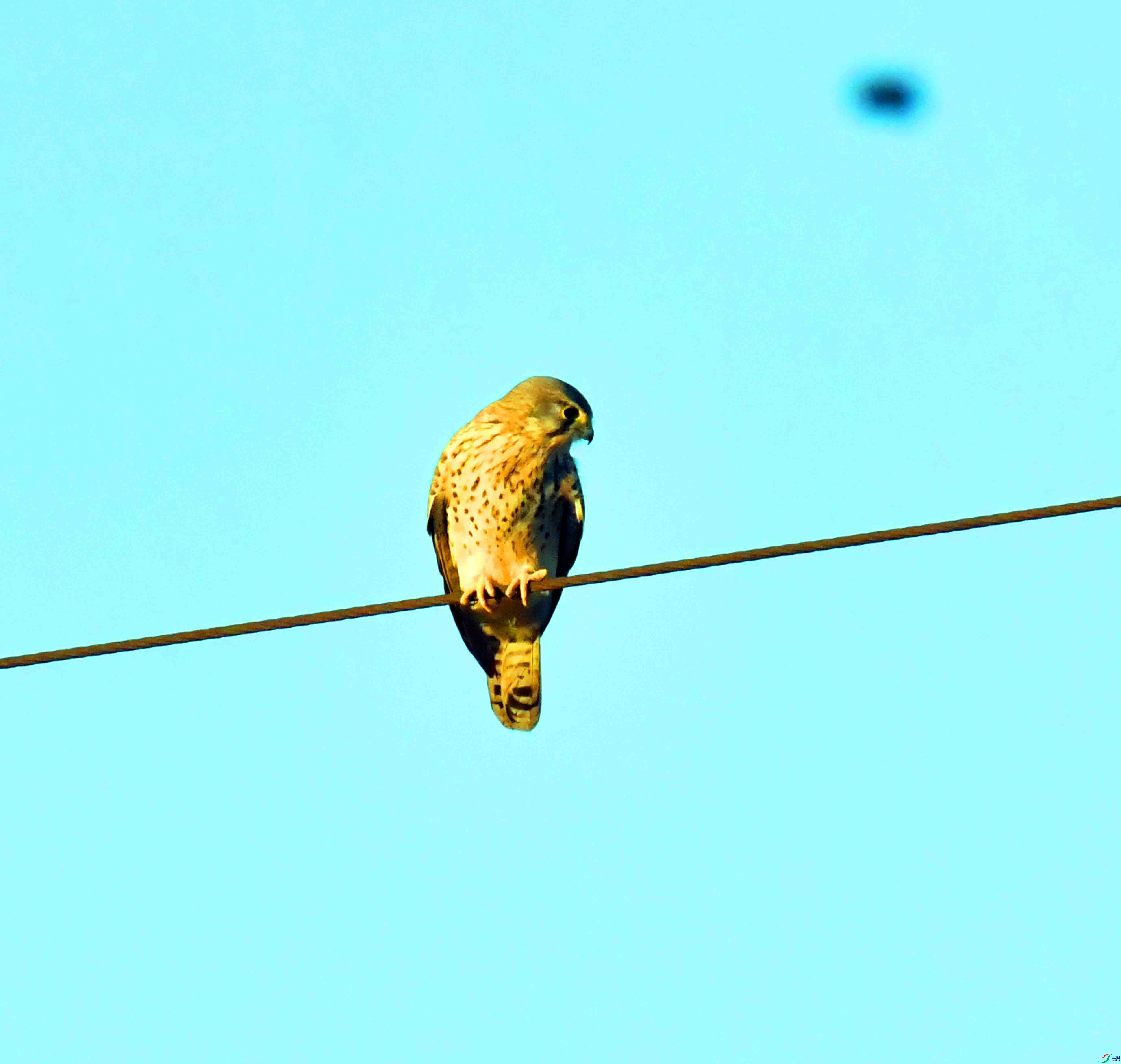 DSC_4112.JPG