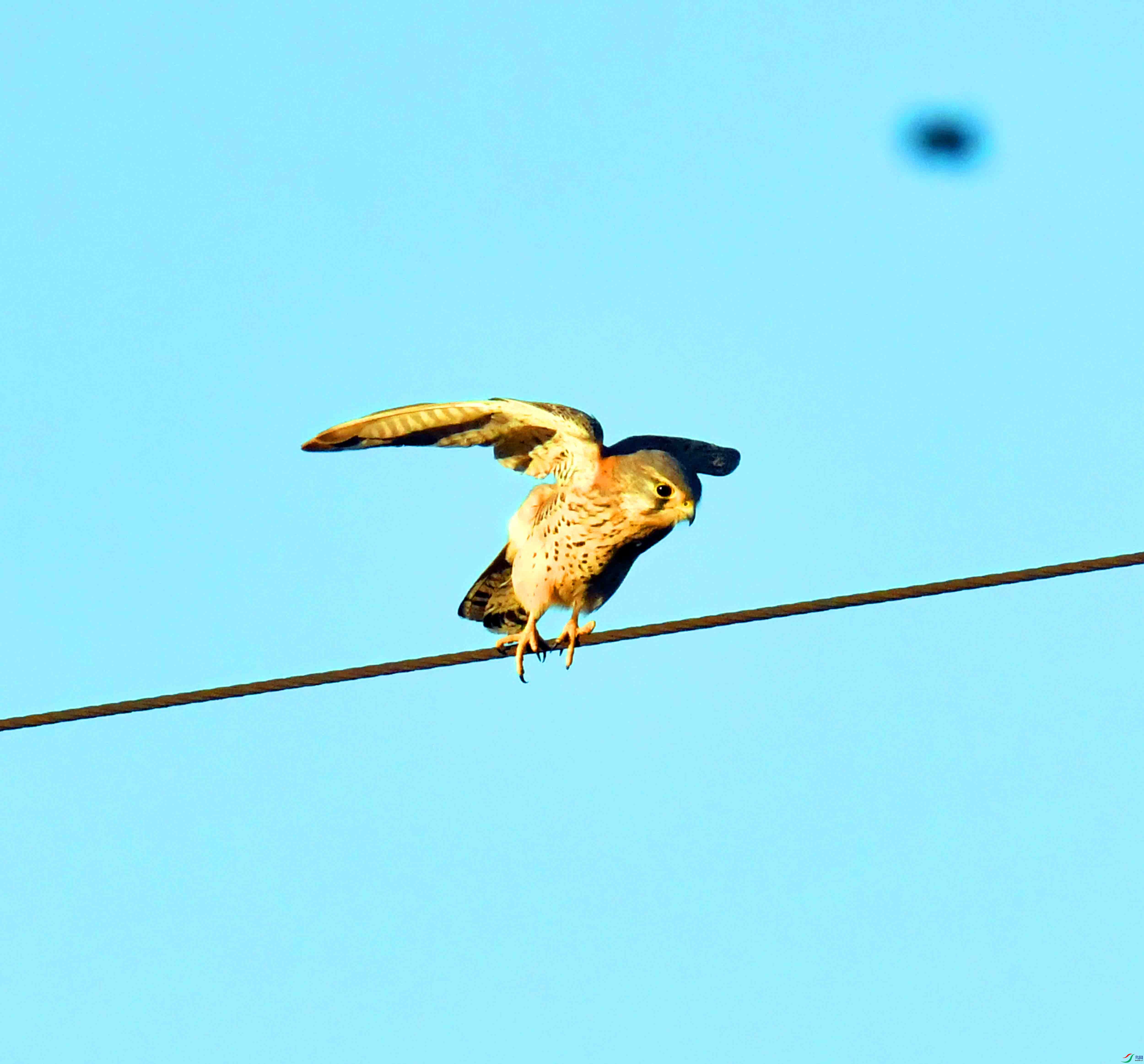 DSC_4115.JPG