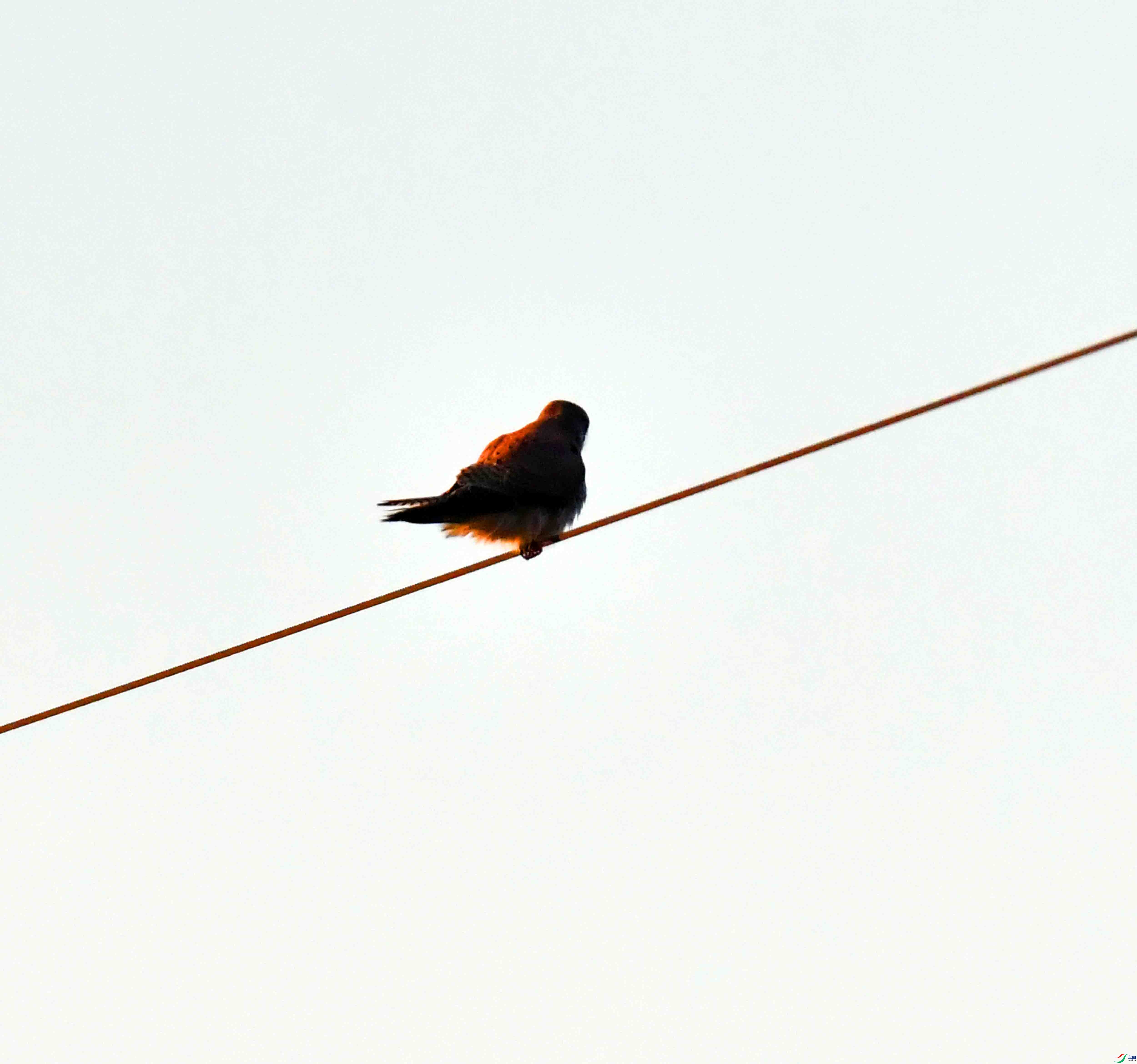 DSC_7207.JPG