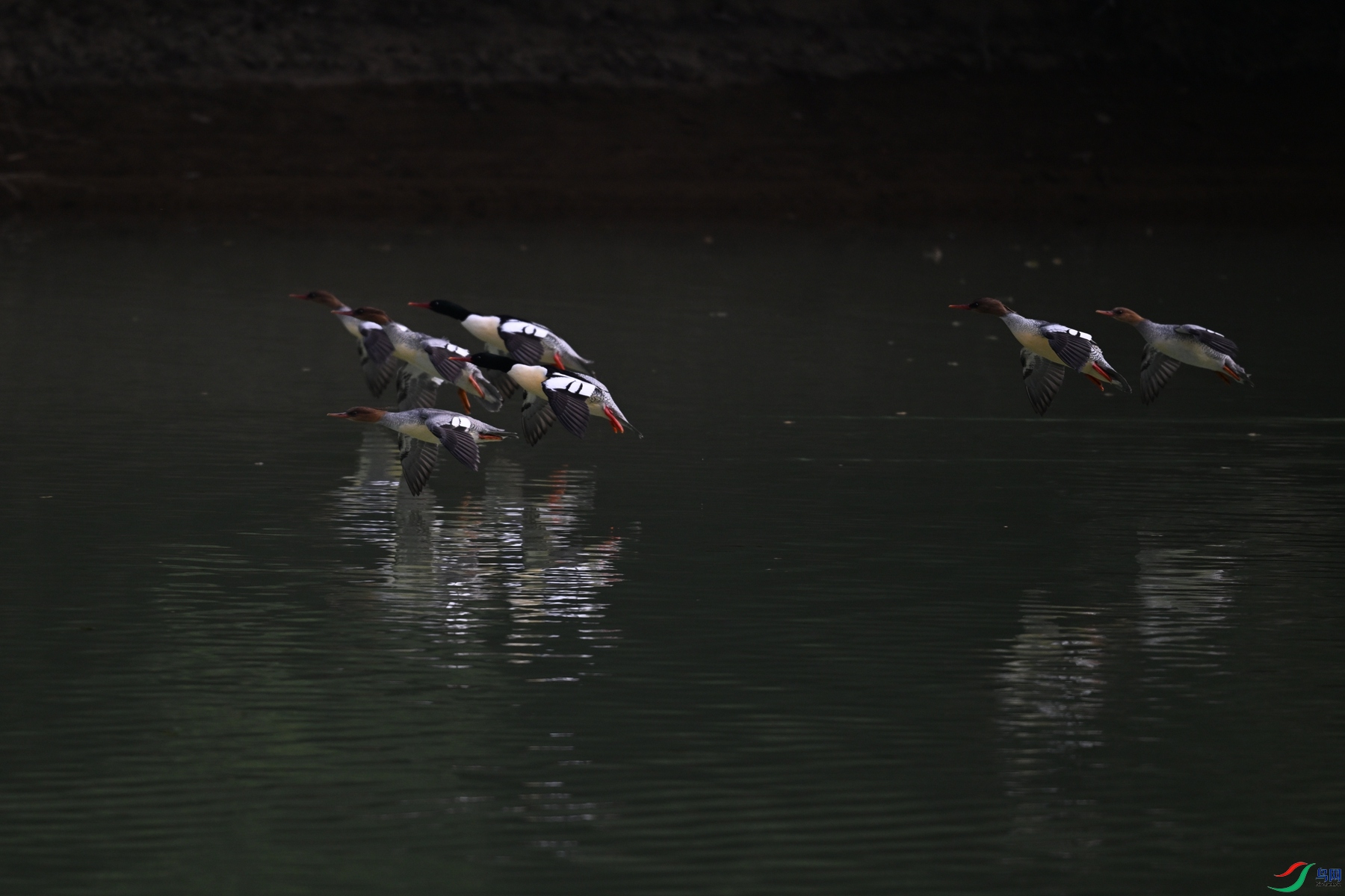 DSC_6943.JPG