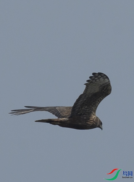 CS3U8694.jpg