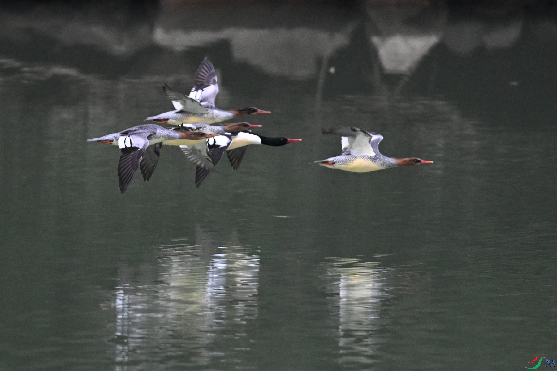 DSC_6756.JPG