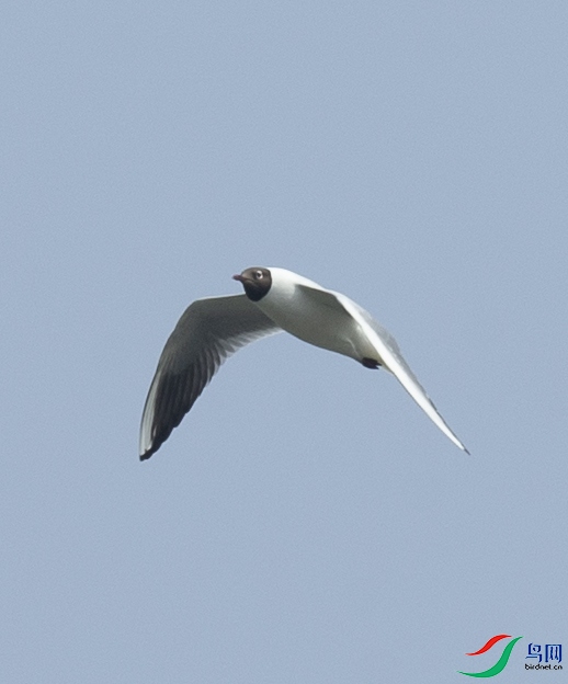 CS3U8783.jpg