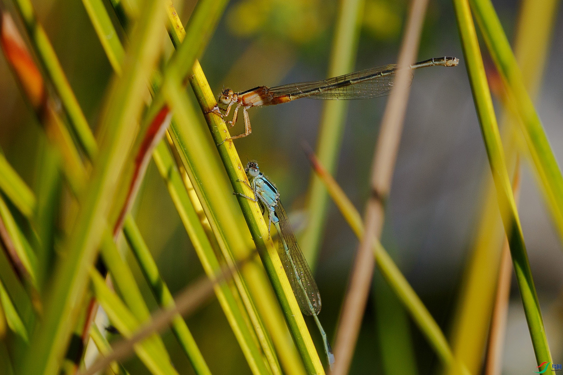 N38A9627.jpg