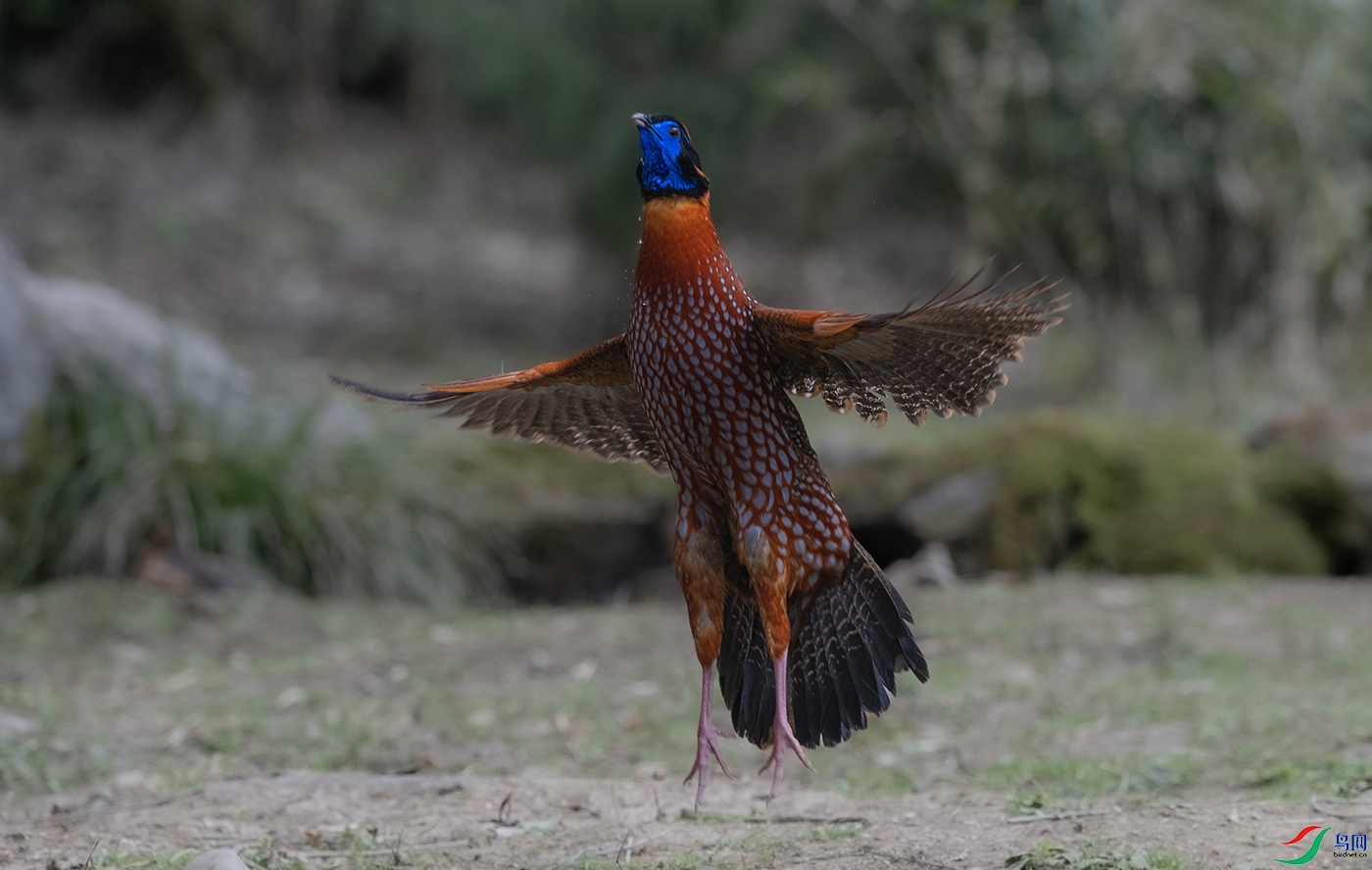DSC_4366.jpg