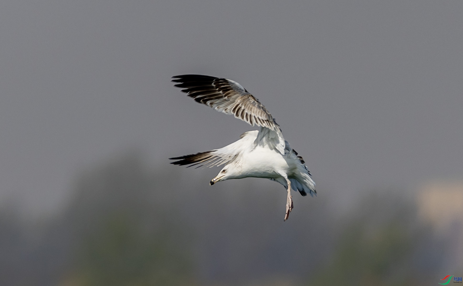 ��Ÿ364 ����.jpg