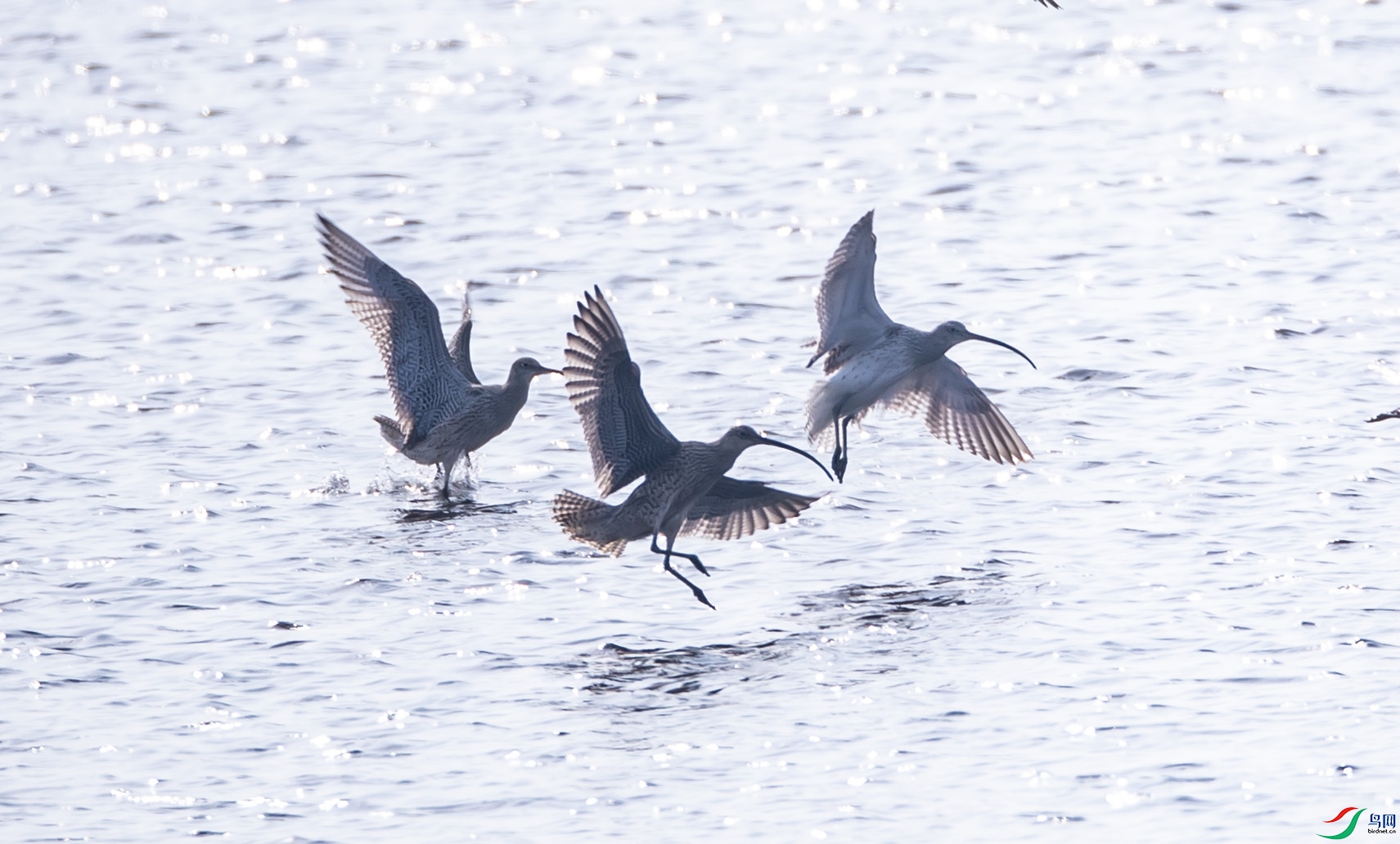 �����684 ����.jpg