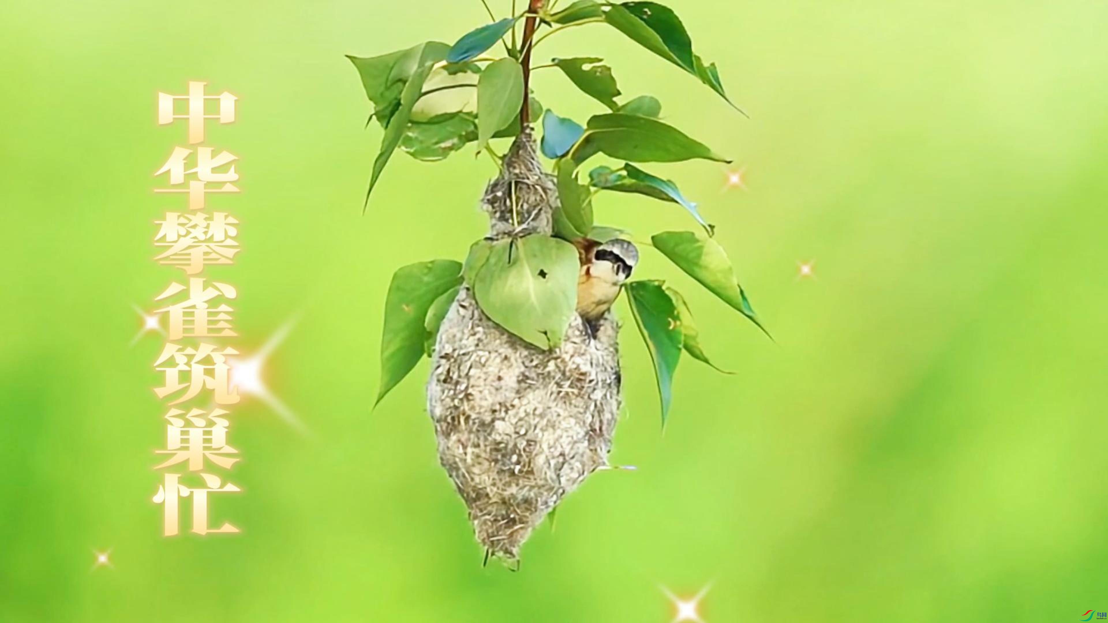 4��16�� (1)(1)-����.jpg