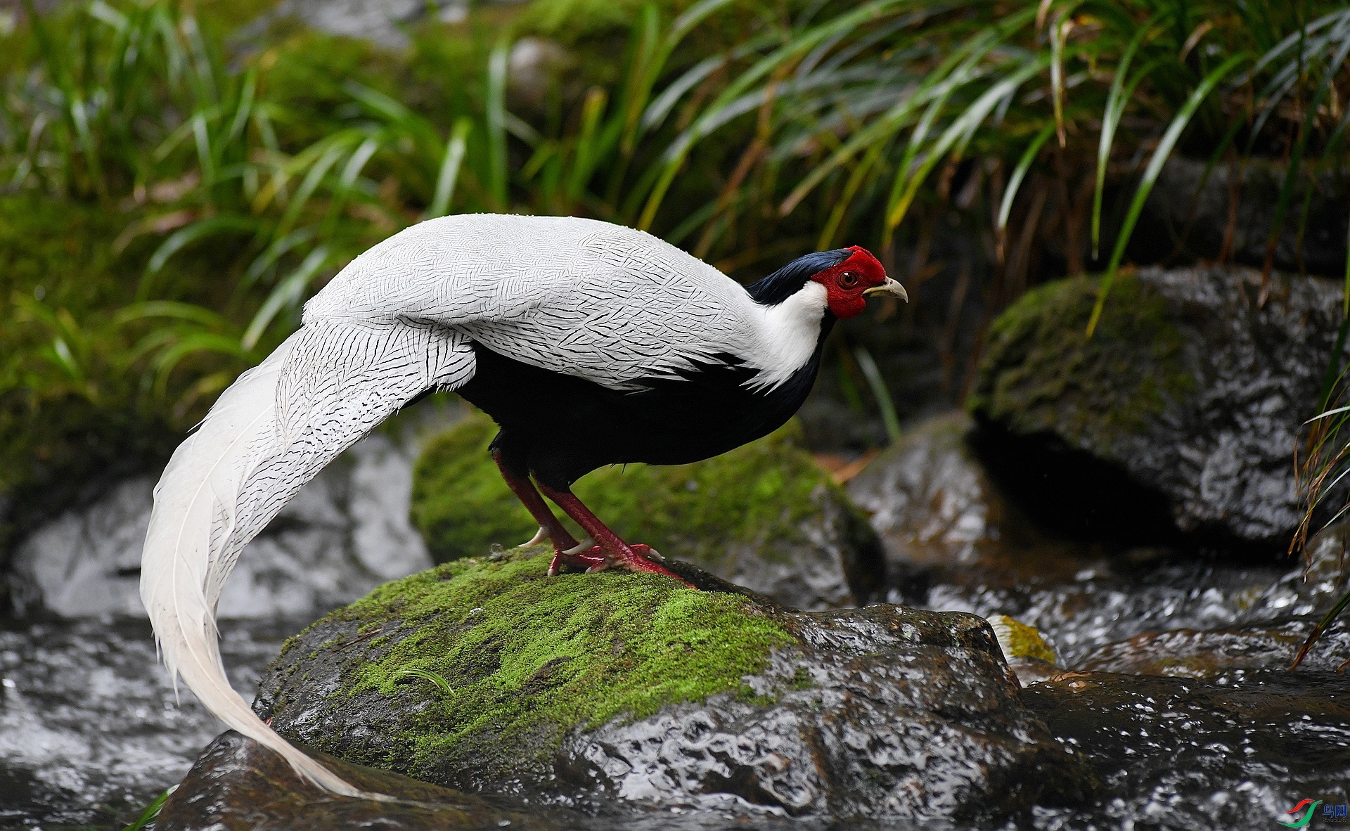 DSC_3626.jpg