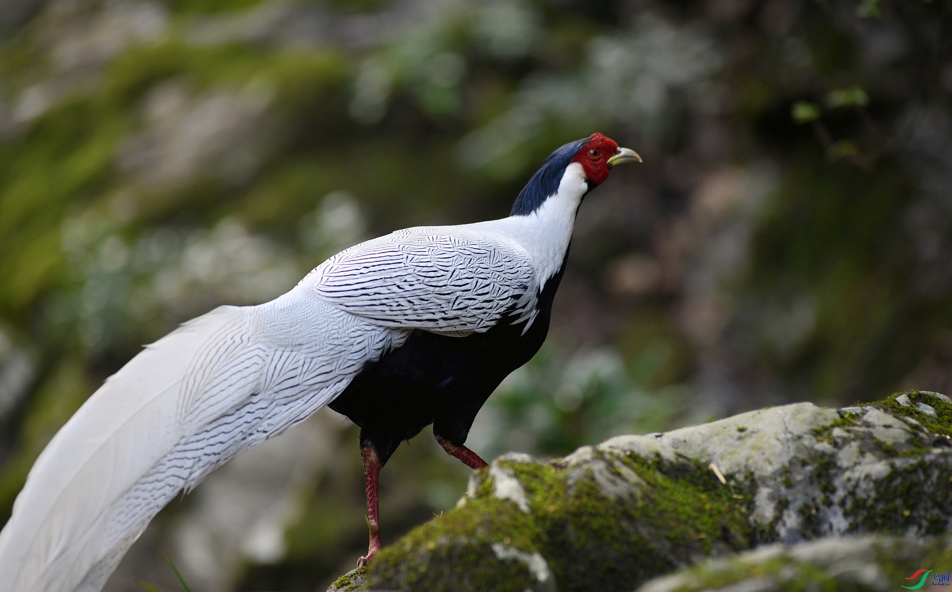 DSC_4417.jpg