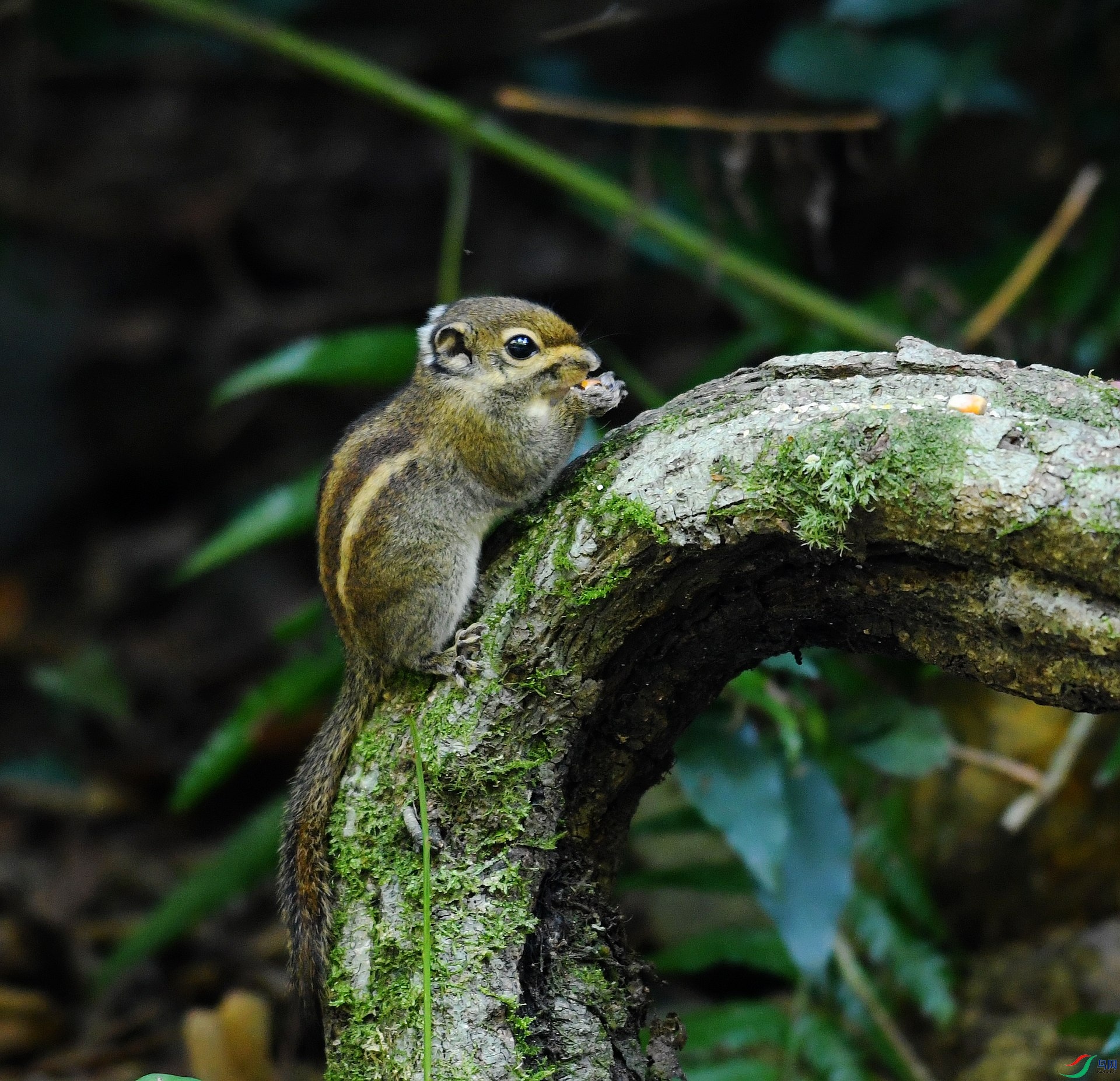 DSC_6300.jpg