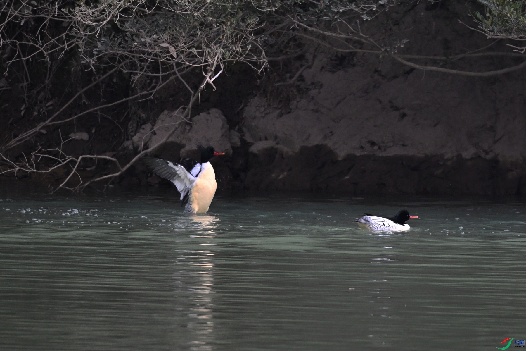 DSC_7024.JPG