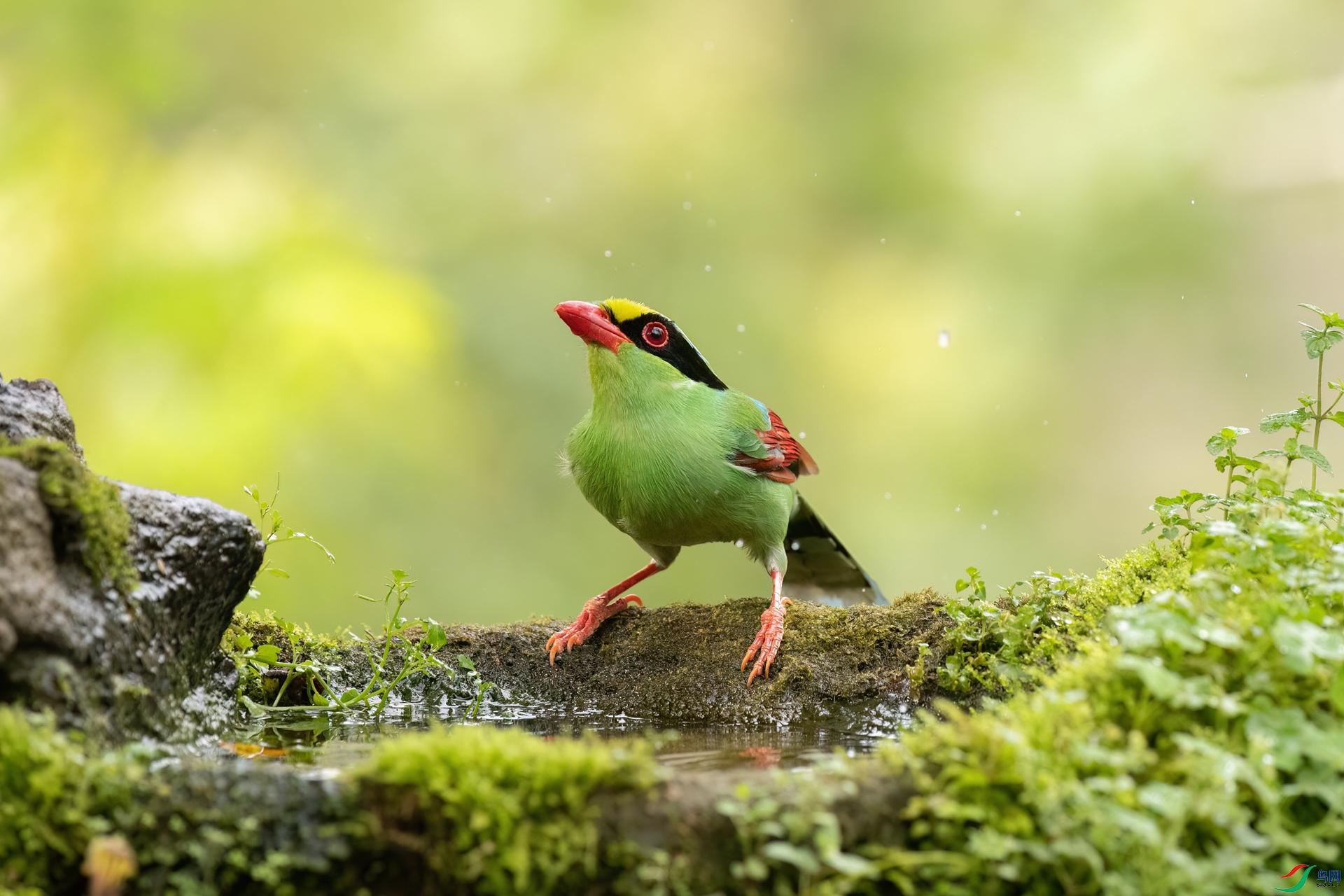 B86I0366 _����.jpg