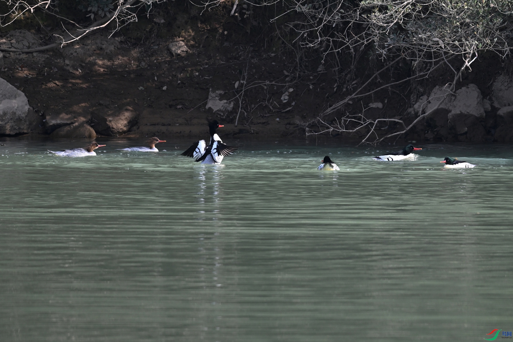 DSC_7026.JPG